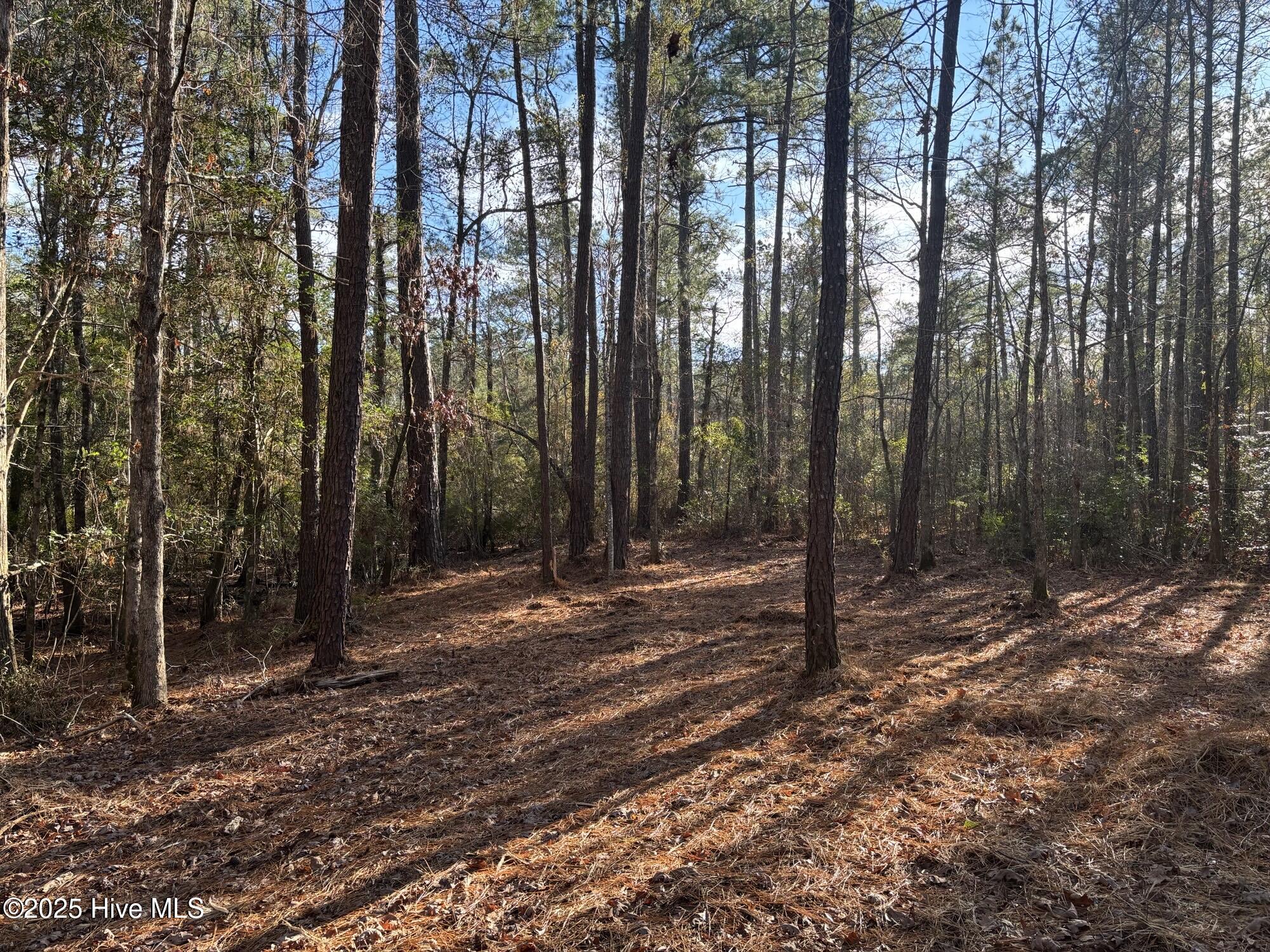 3227 Lee Landing Road, New Bern, NC, 28560