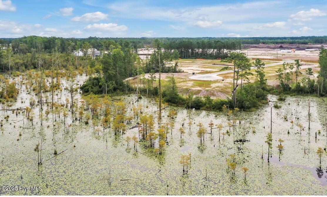 100507408 | Photo 41