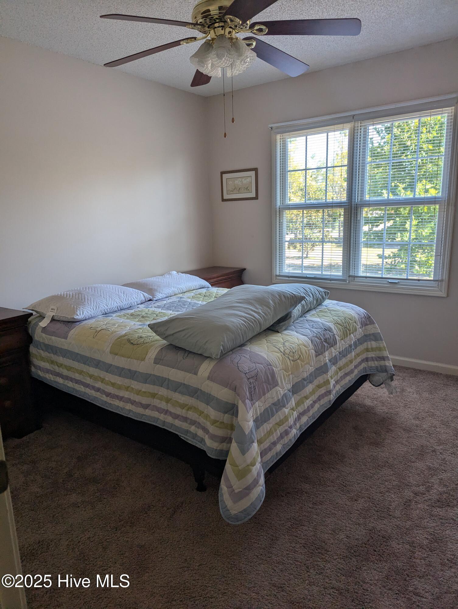 100540612 | Photo 21