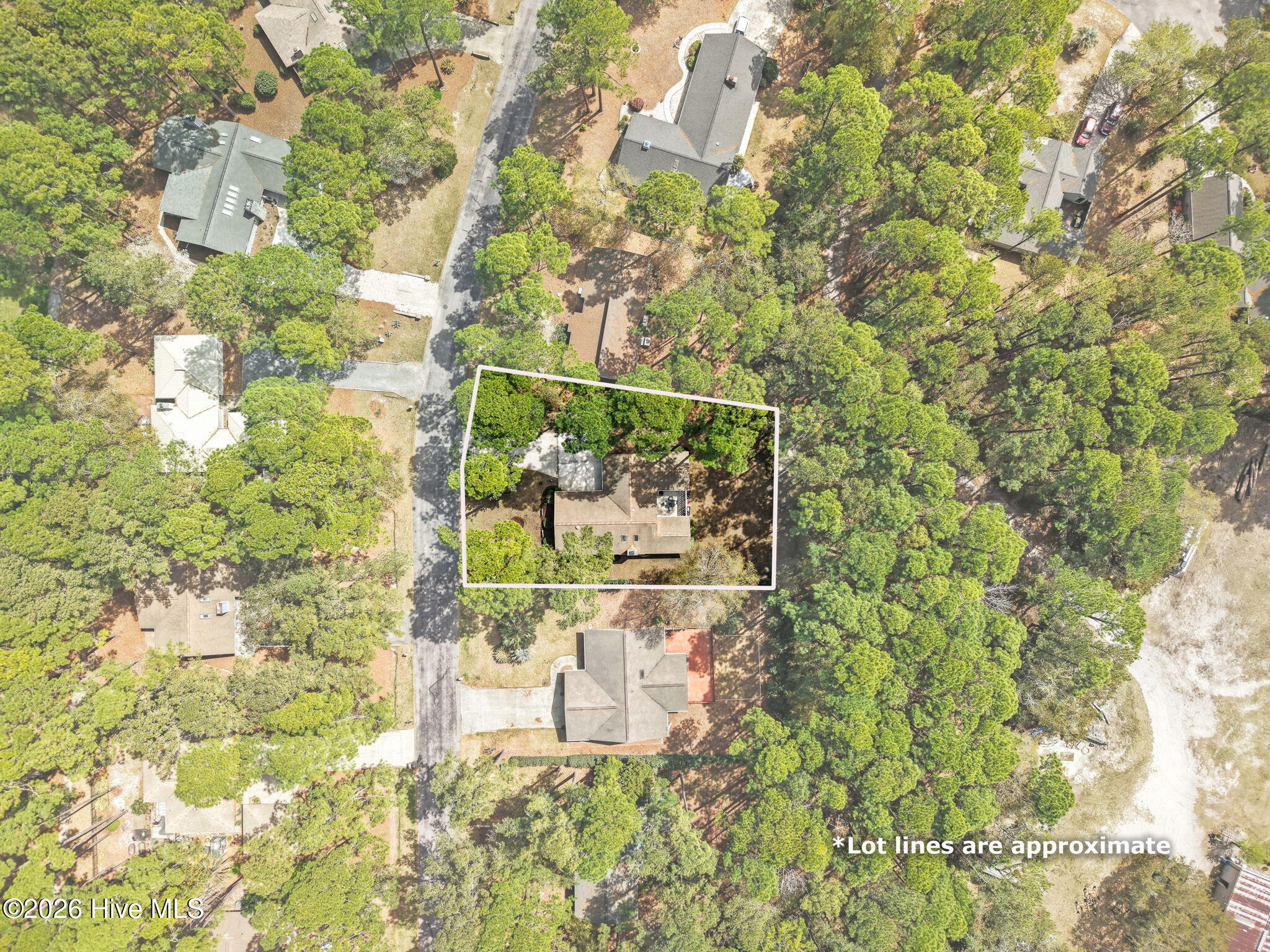 100564261 | Photo 40