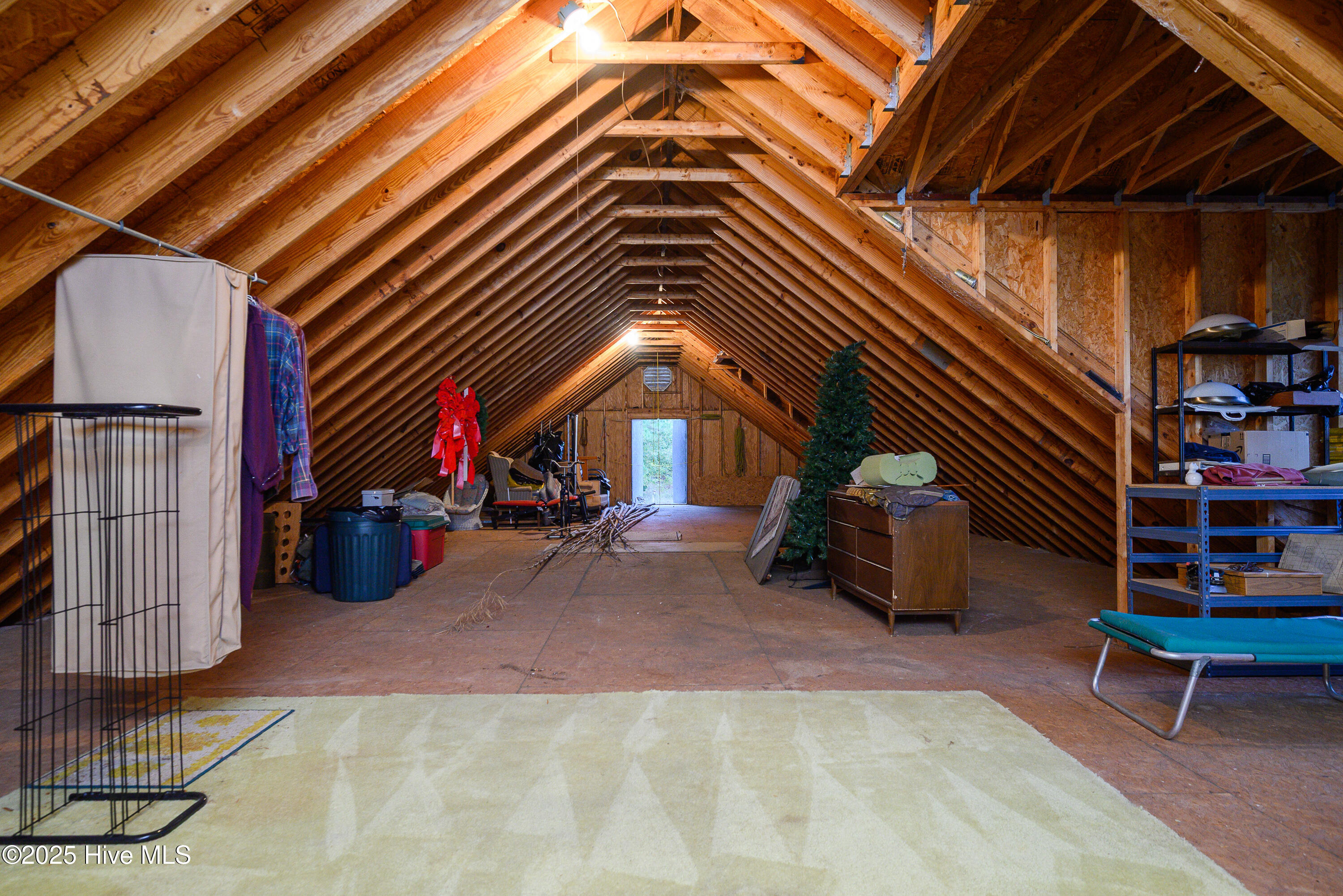 Storage/attick space over garage