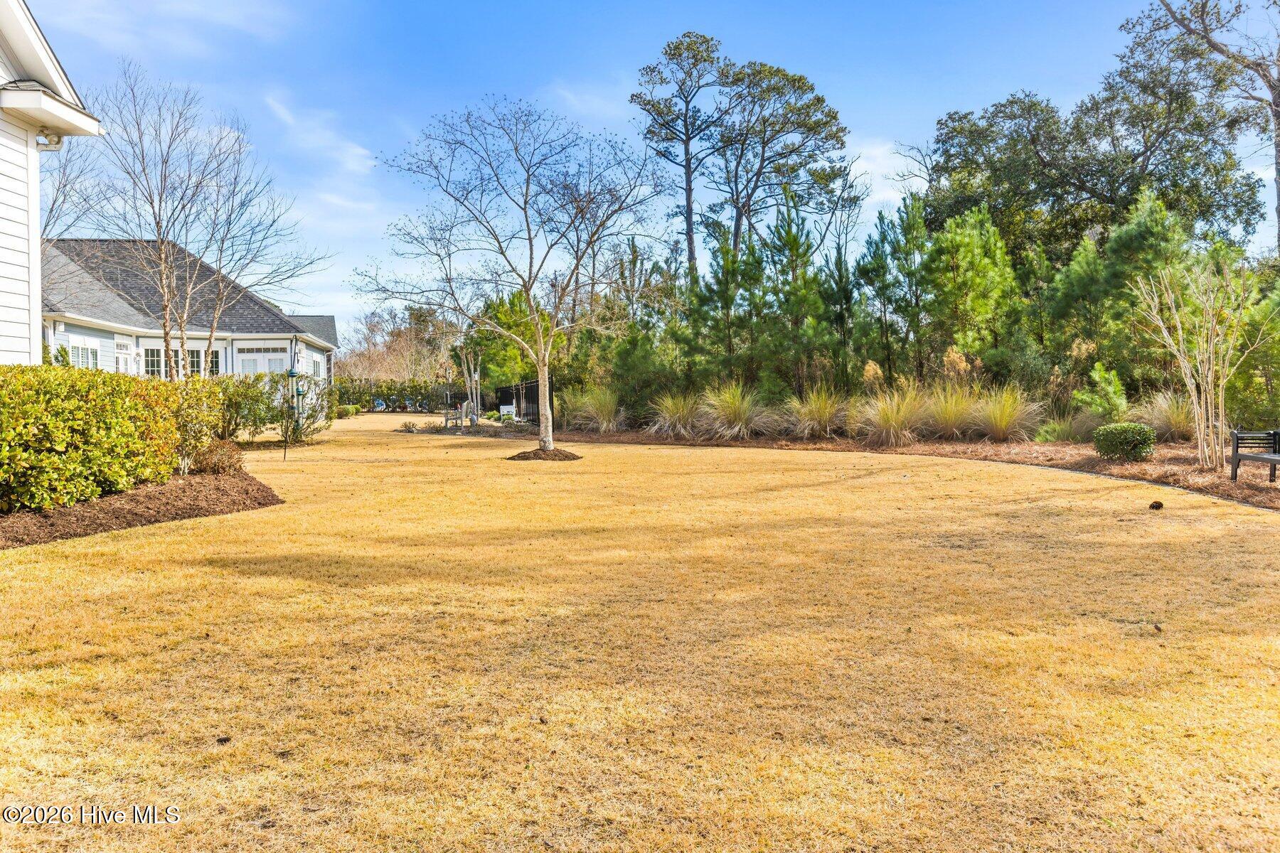 100550538 | Photo 60