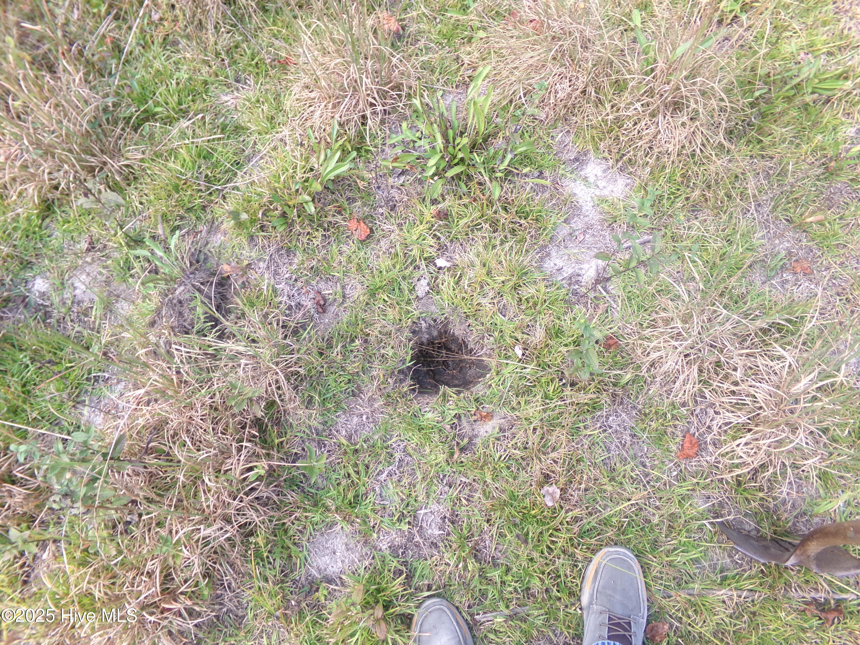 Homes for sale in White Oak, NC | Lot 44964 Big Island Rd, White Oak, NC 28399 | MLS# 100540496