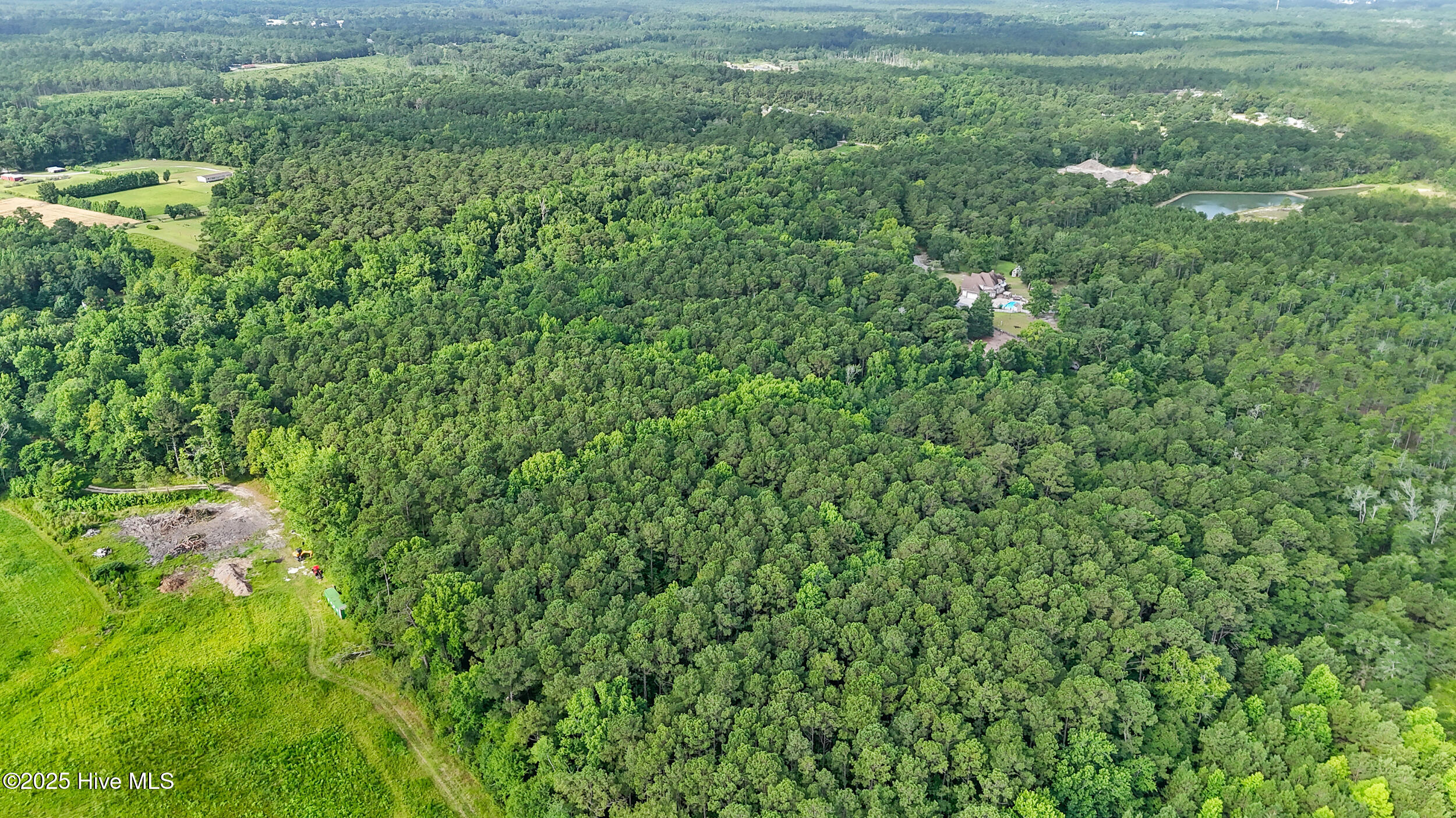 100517619 | Photo 103