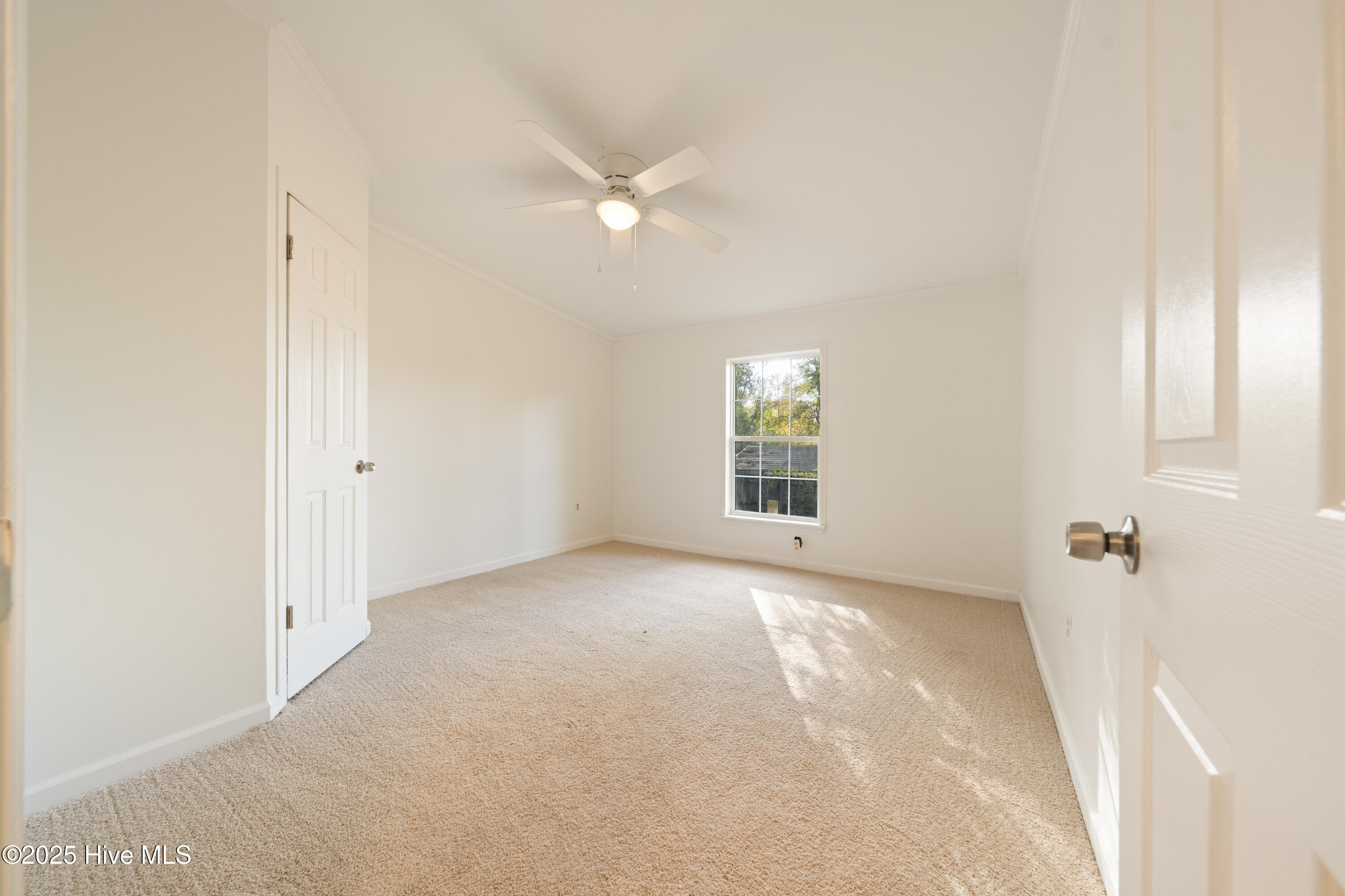 100541471 | Photo 28