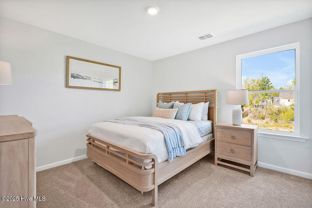 100566493 | Photo 24