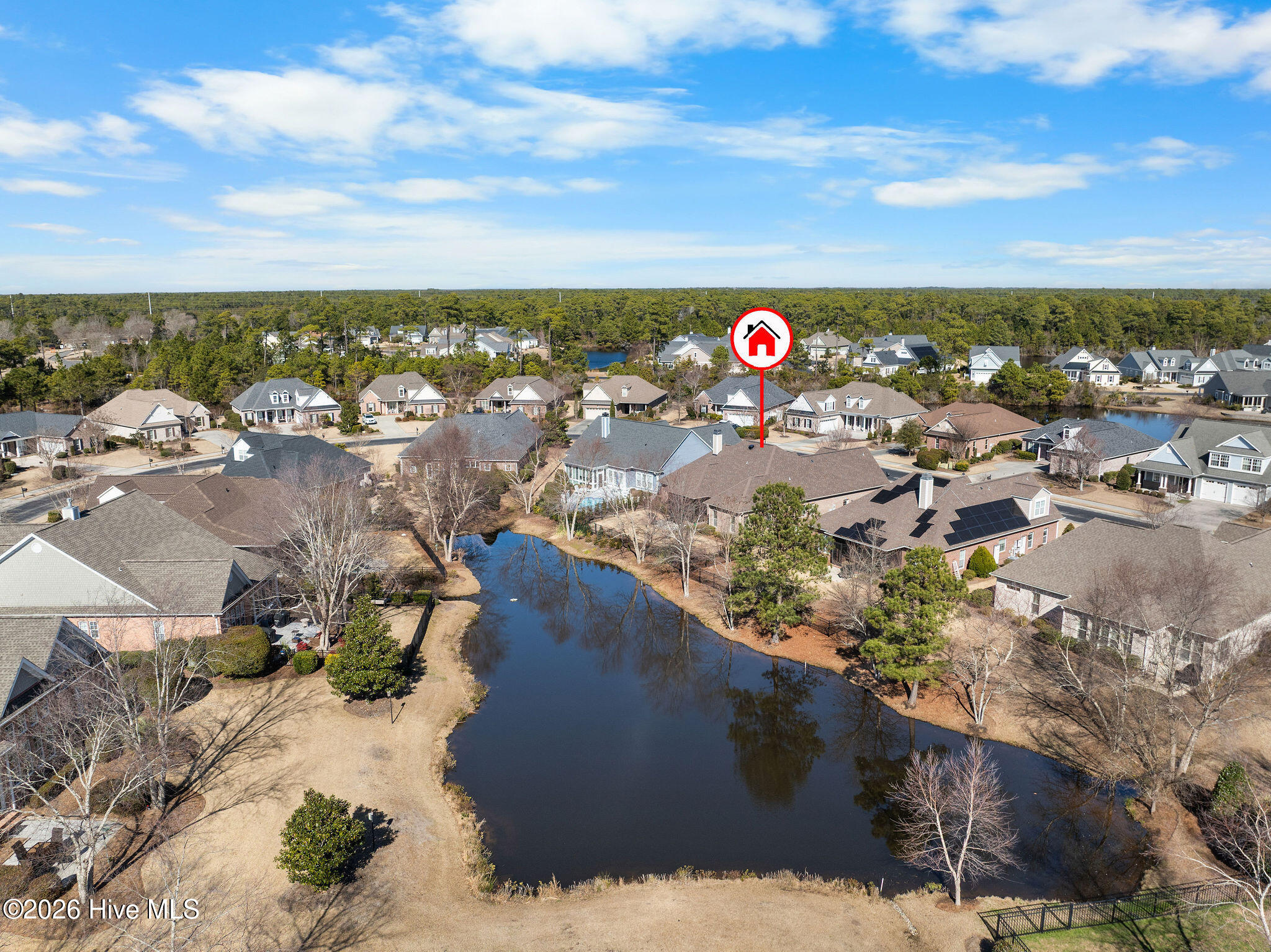 100564801 | Photo 48