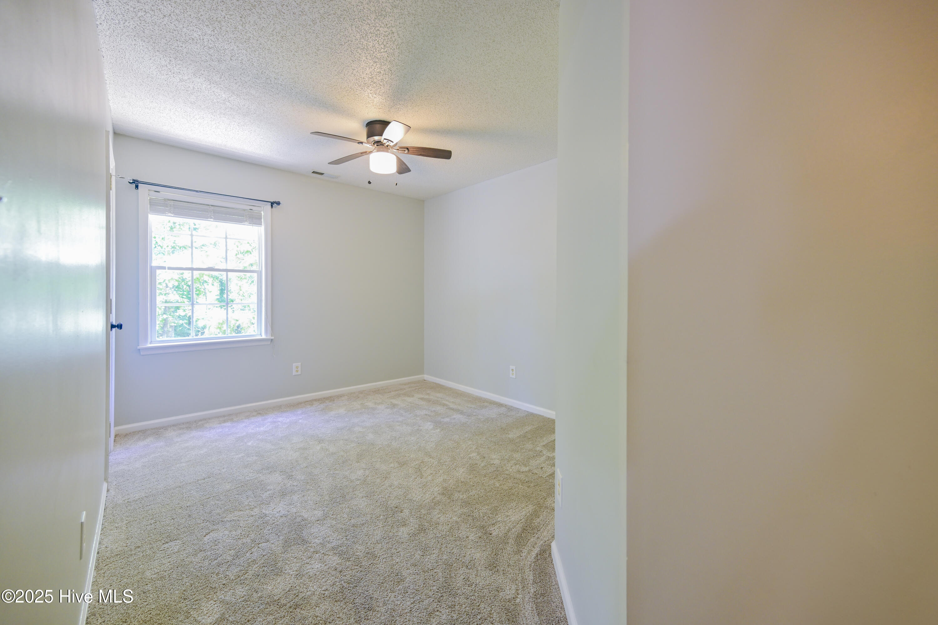 100523748 | Photo 40