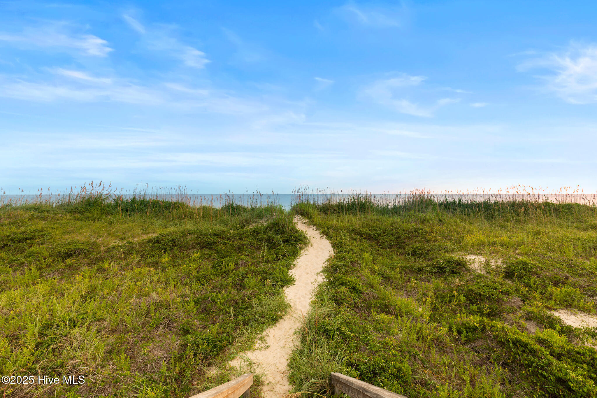 100531510 | Photo 38