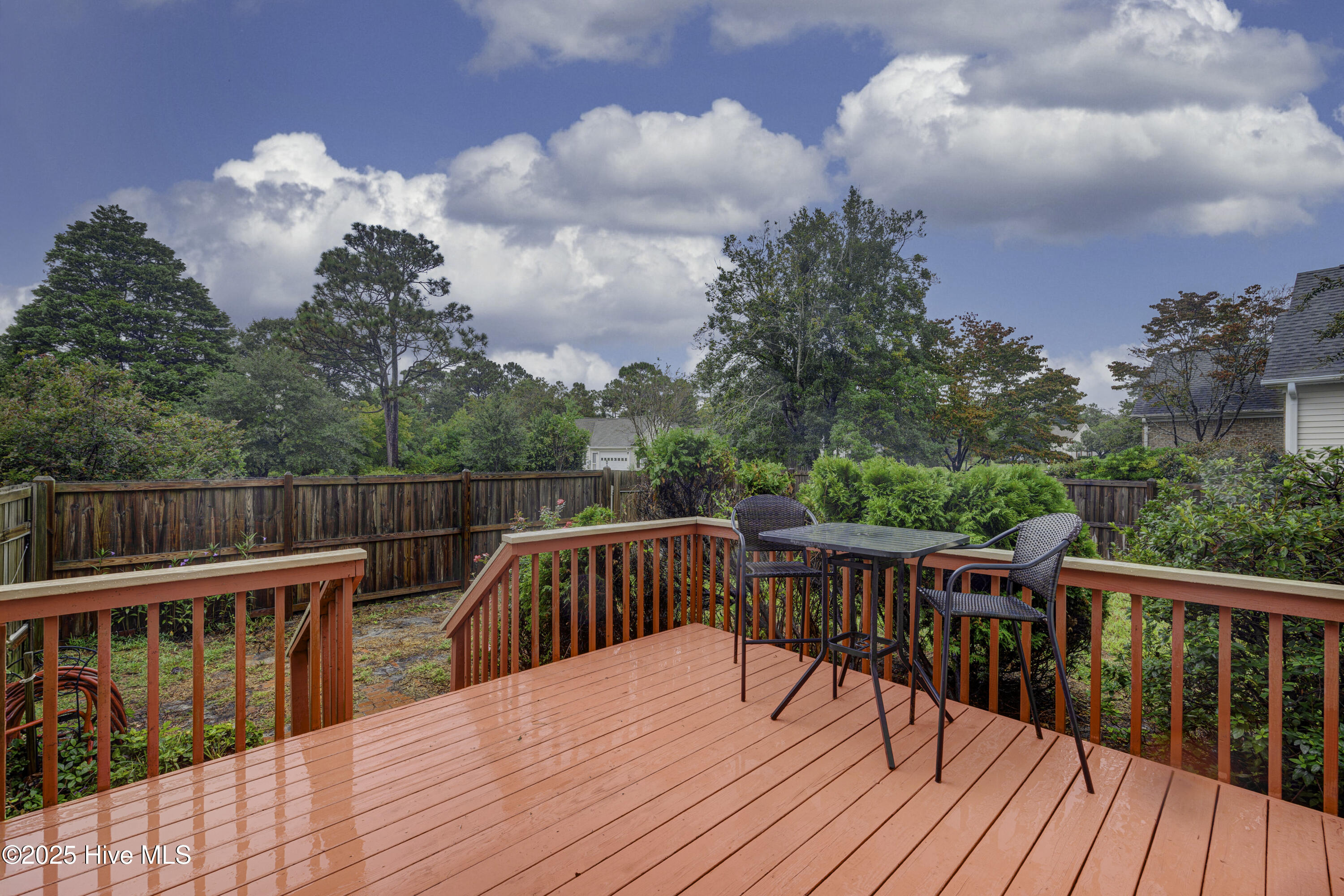 100534383 | Photo 27