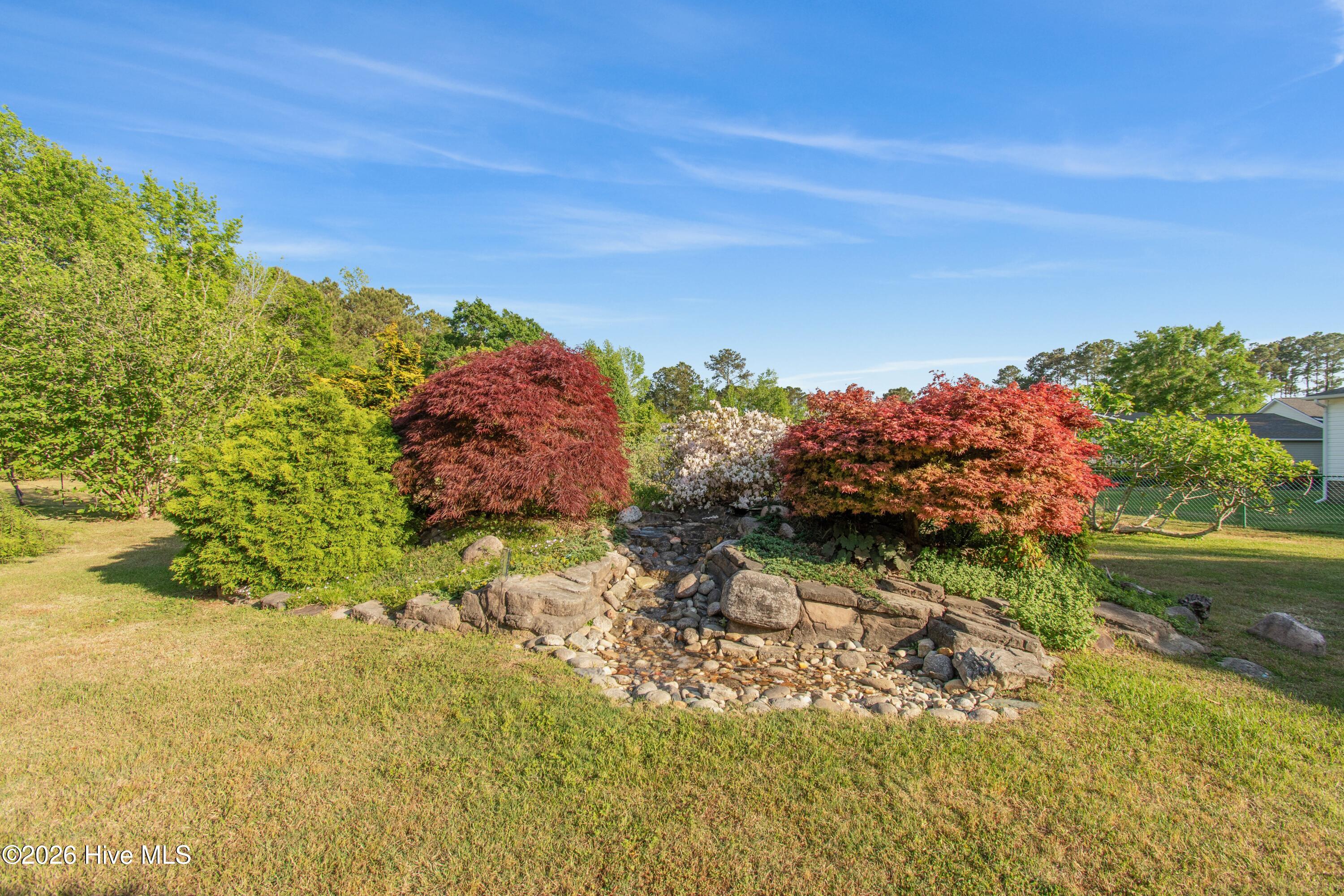 100568231 | Photo 11