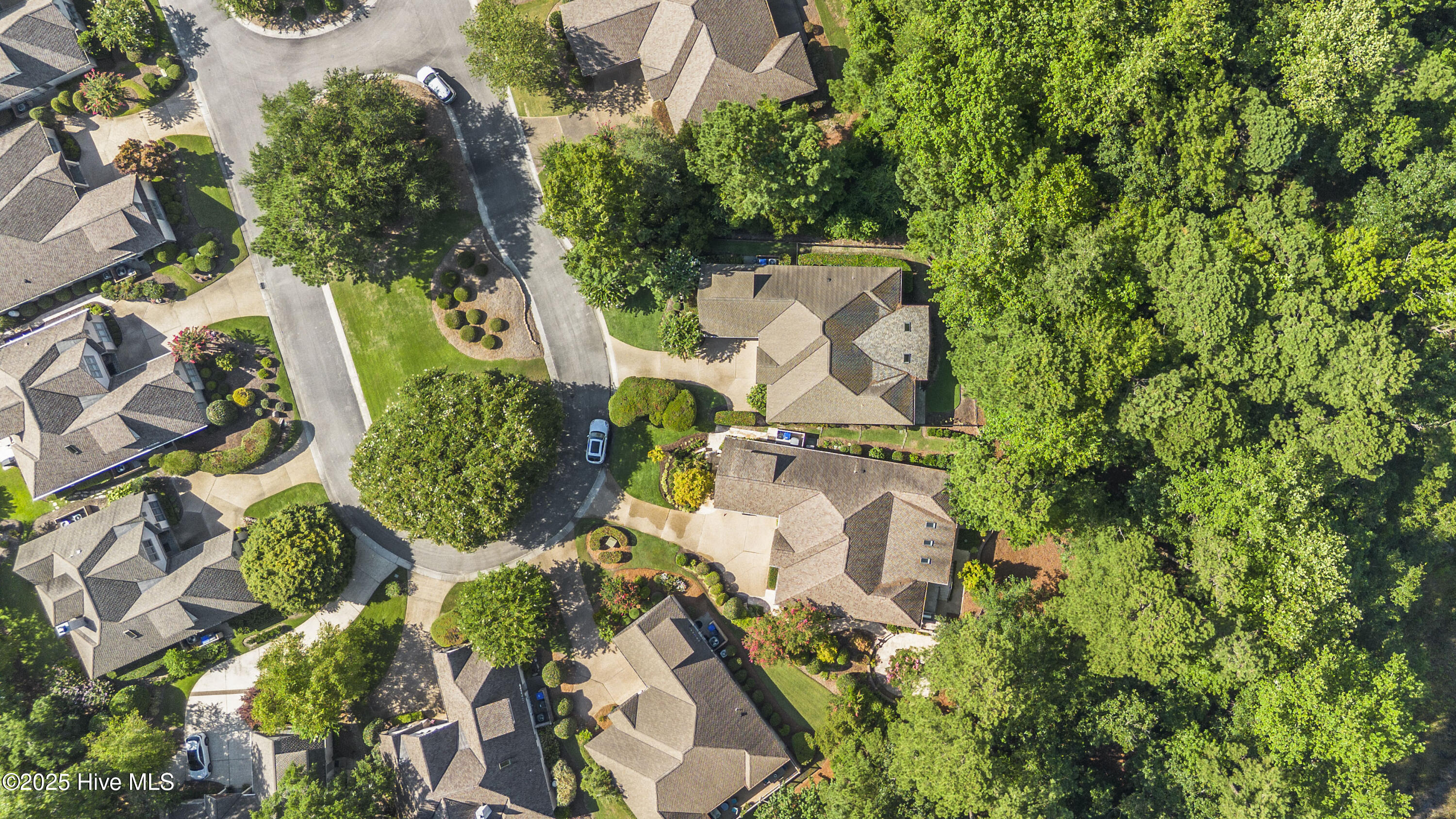 100520389 | Photo 77