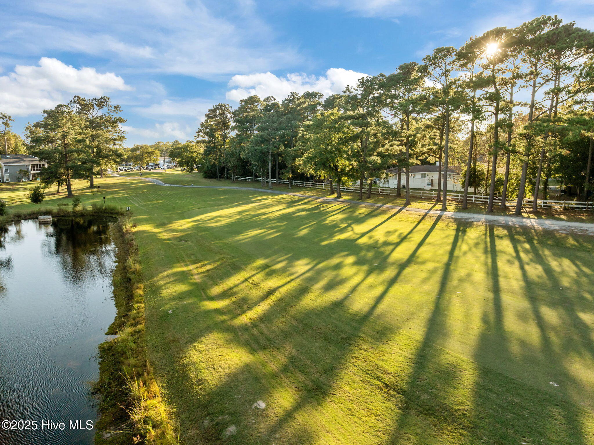 100537179 | Photo 41