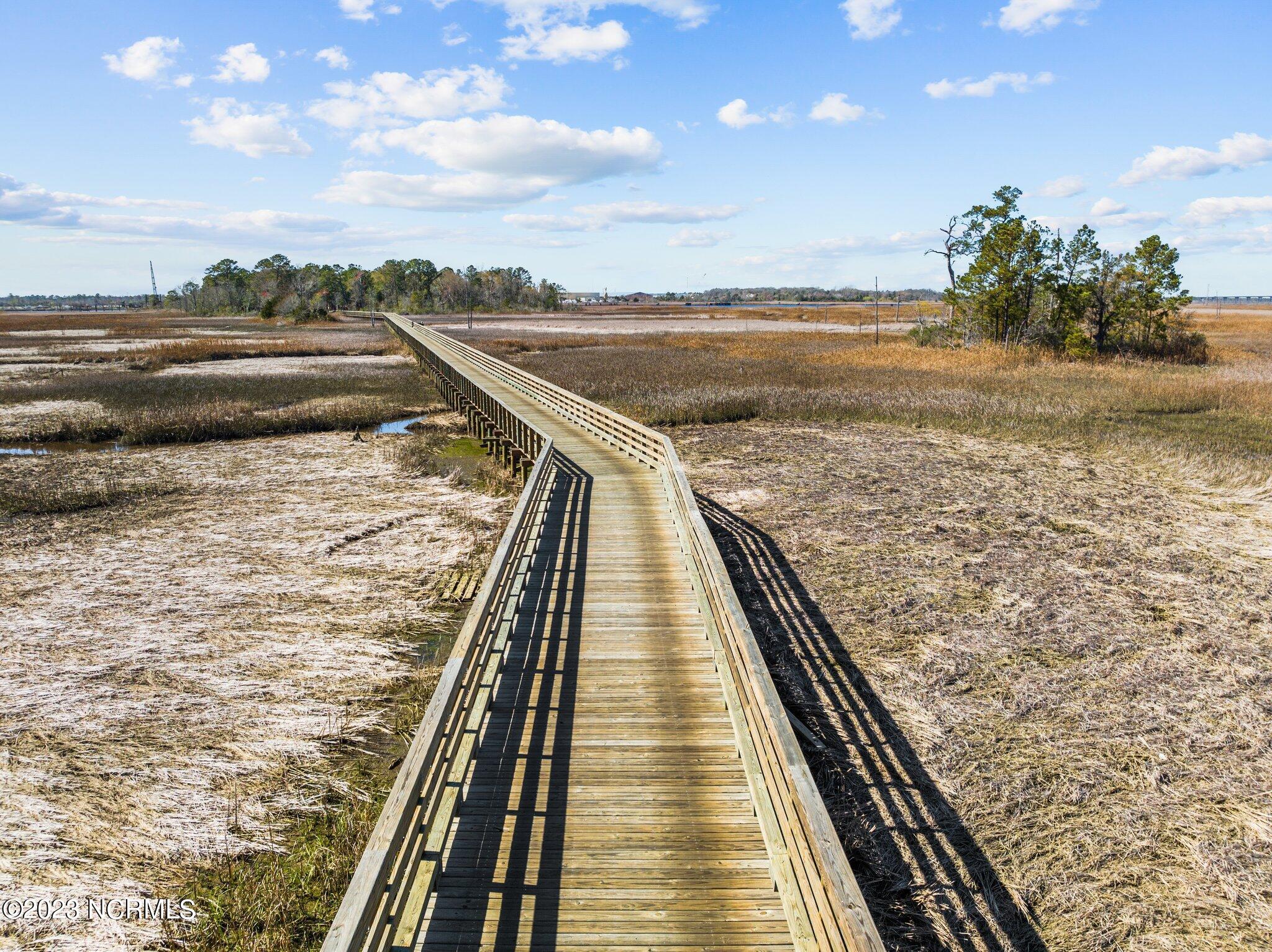 228 Preservation Point Avenue, Wilmington, NC, 28401