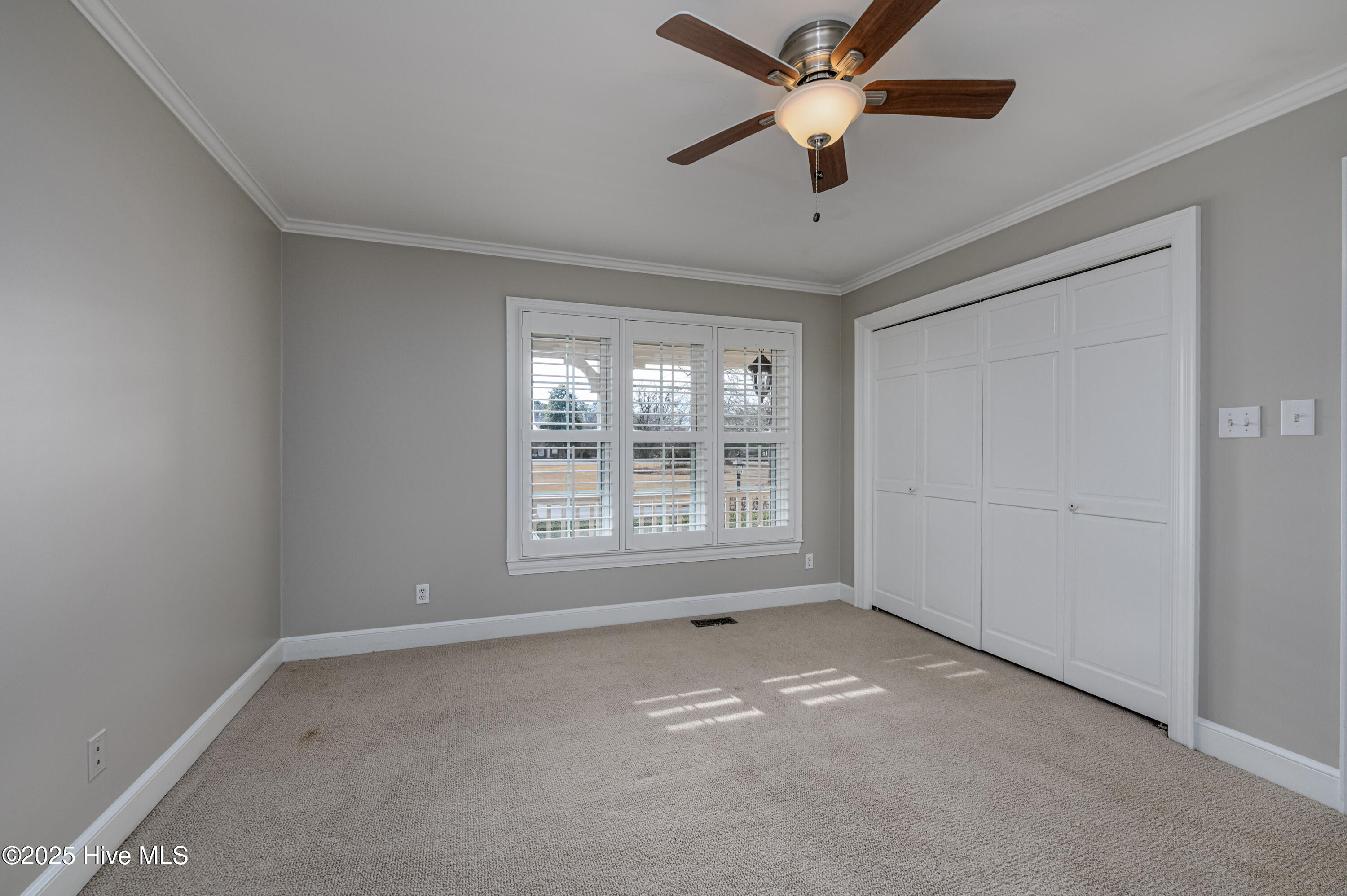 100485107 | Photo 26