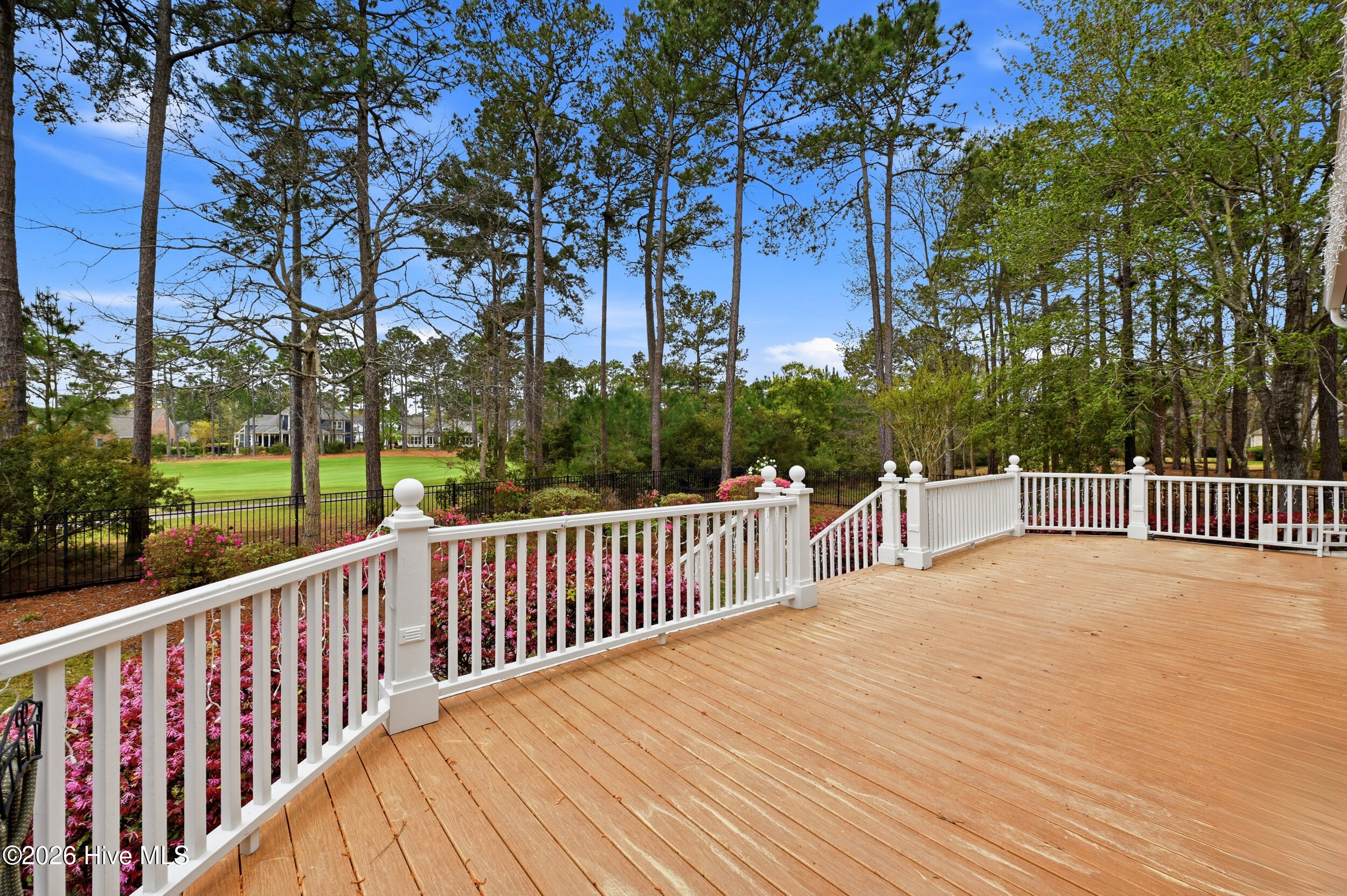 100566380 | Photo 47