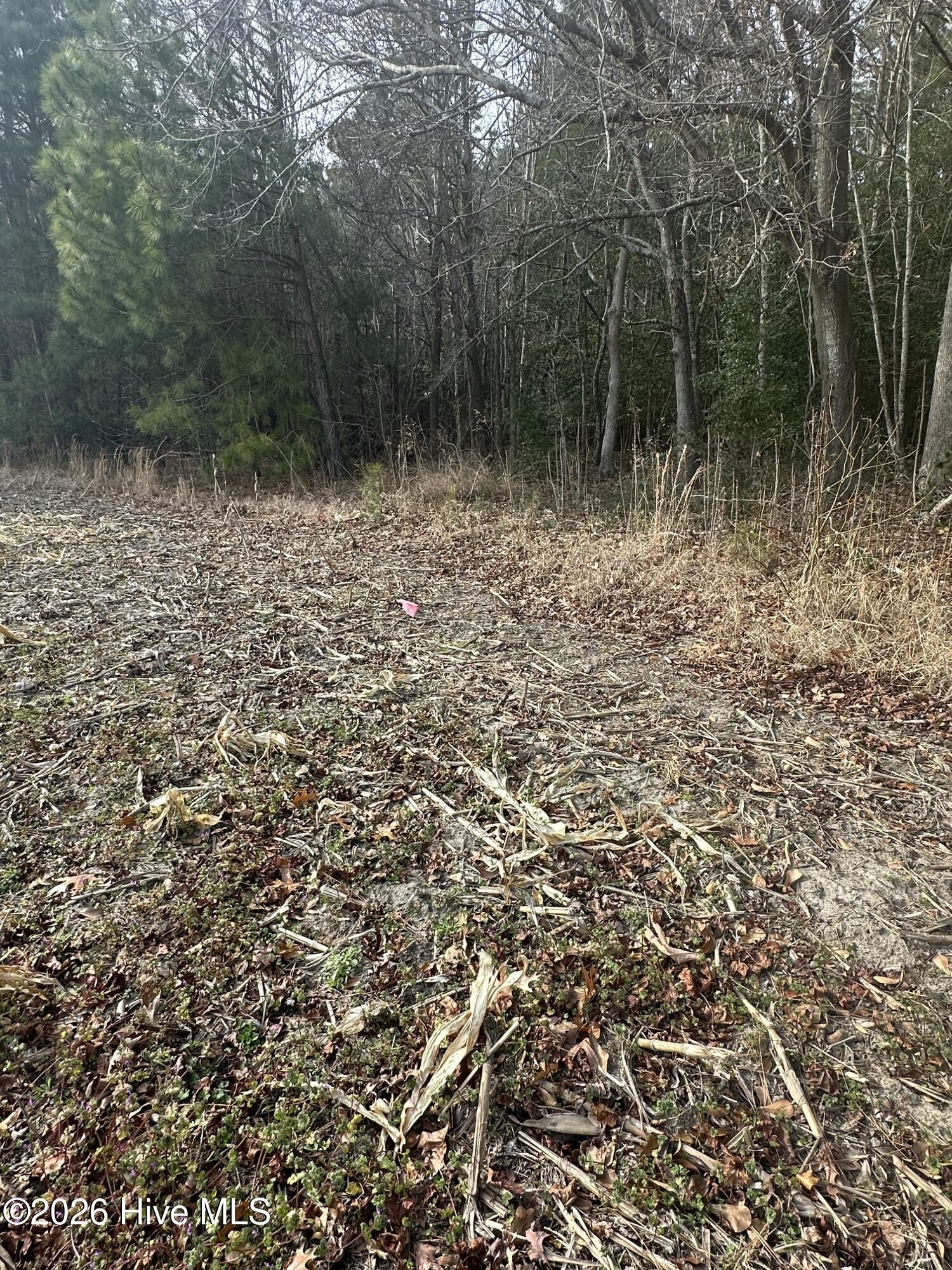 Homes for sale in Jarvisburg, NC | 2 Fisher Landing Rd, Jarvisburg, NC 27947 | MLS# 100547245