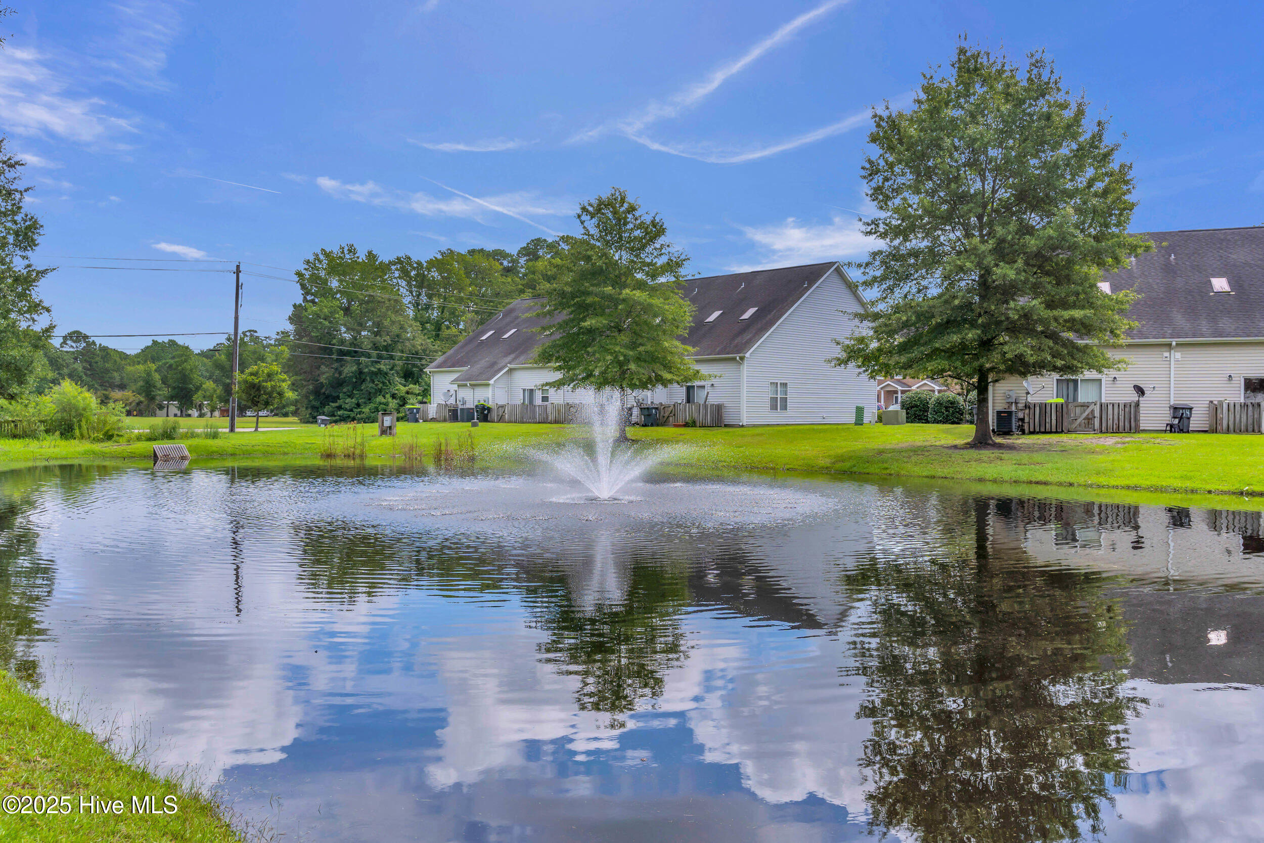 100549260 | Photo 47