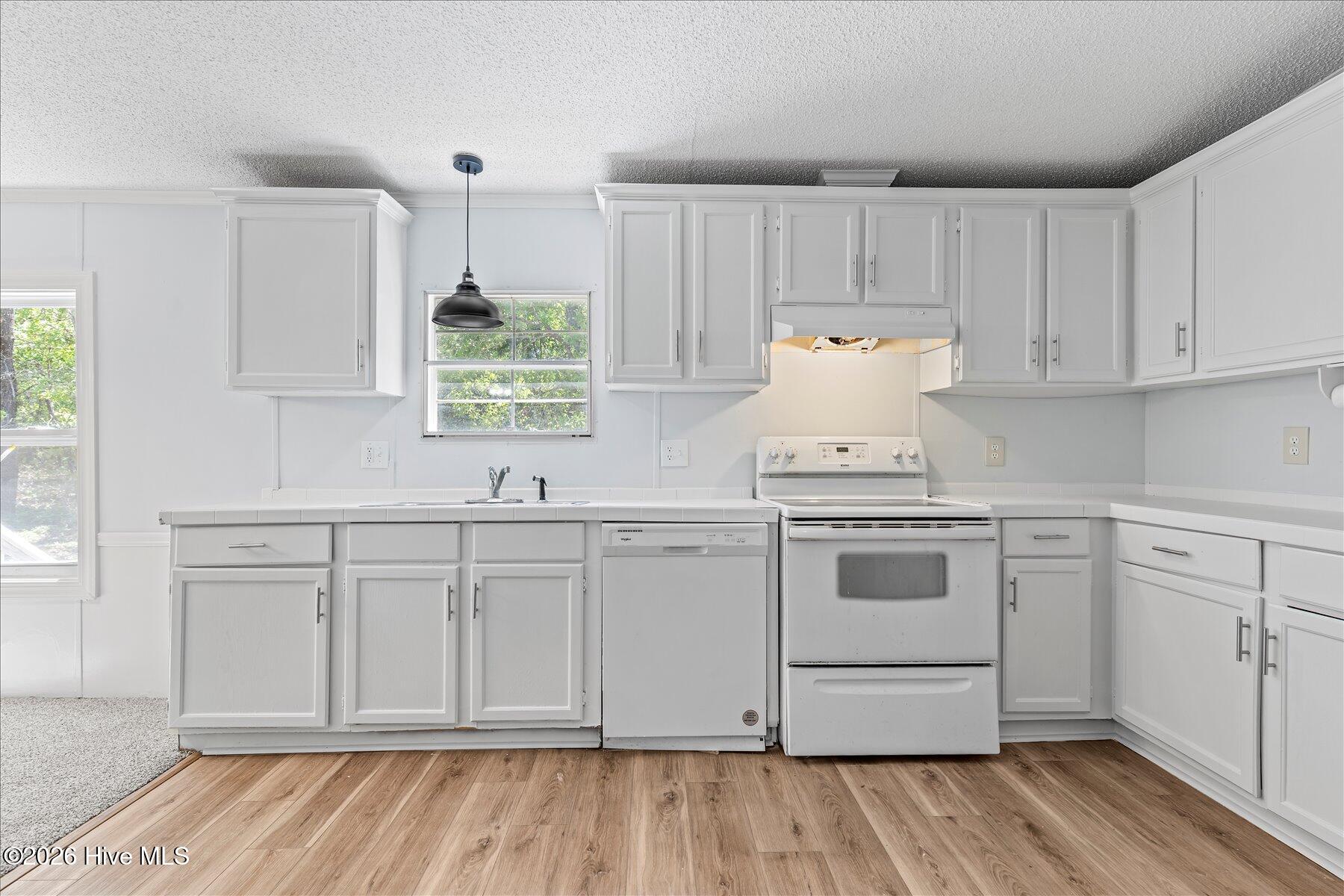 100567568 | Photo 18