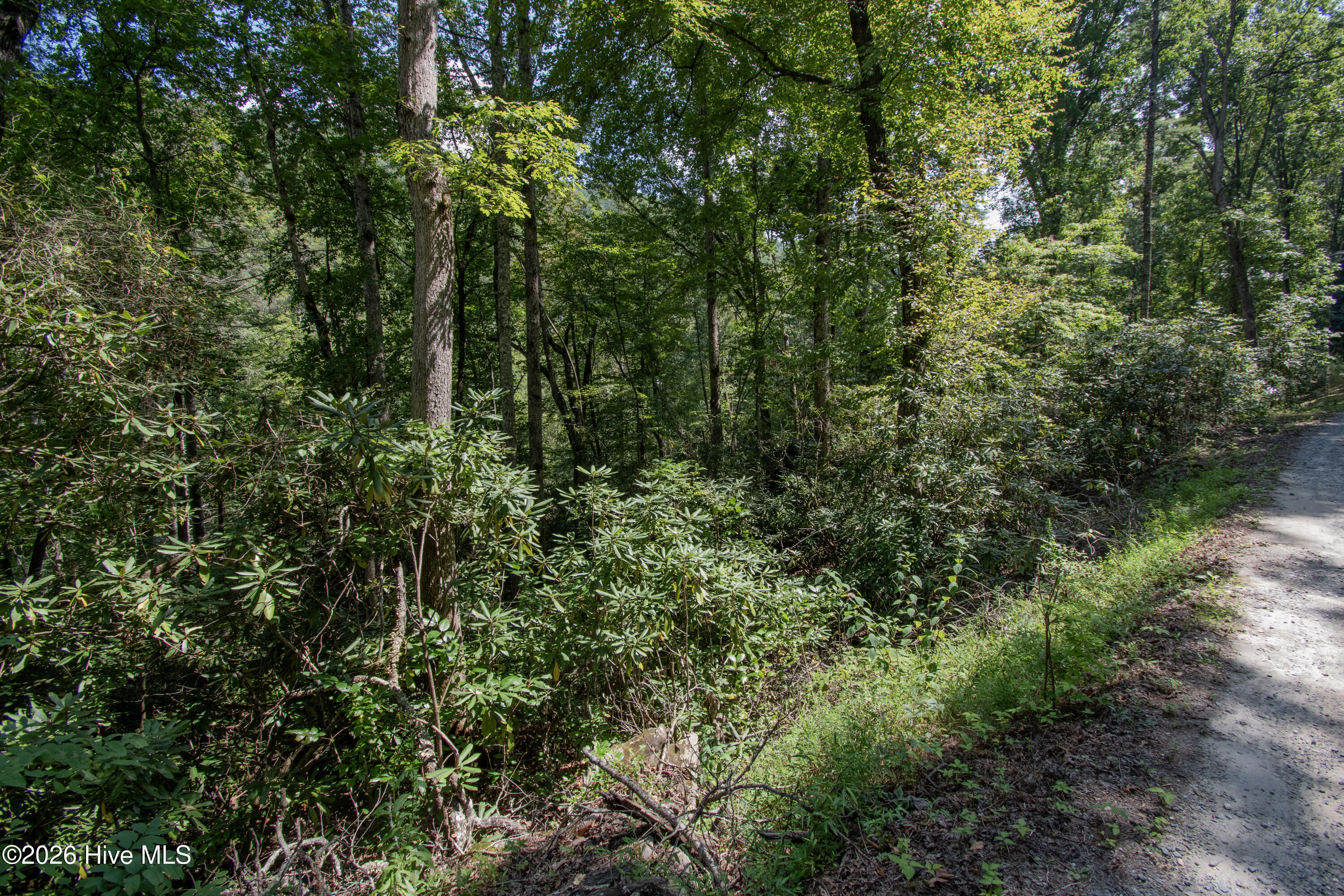8 Snowbird Woods, Robbinsville, North Carolina, 0 ,Residential Lot,For sale,Snowbird Woods,100601943 8 Snowbird Woods, Robbinsville, North Carolina, 0 ,Residential Lot,For sale,Snowbird Woods,100601943