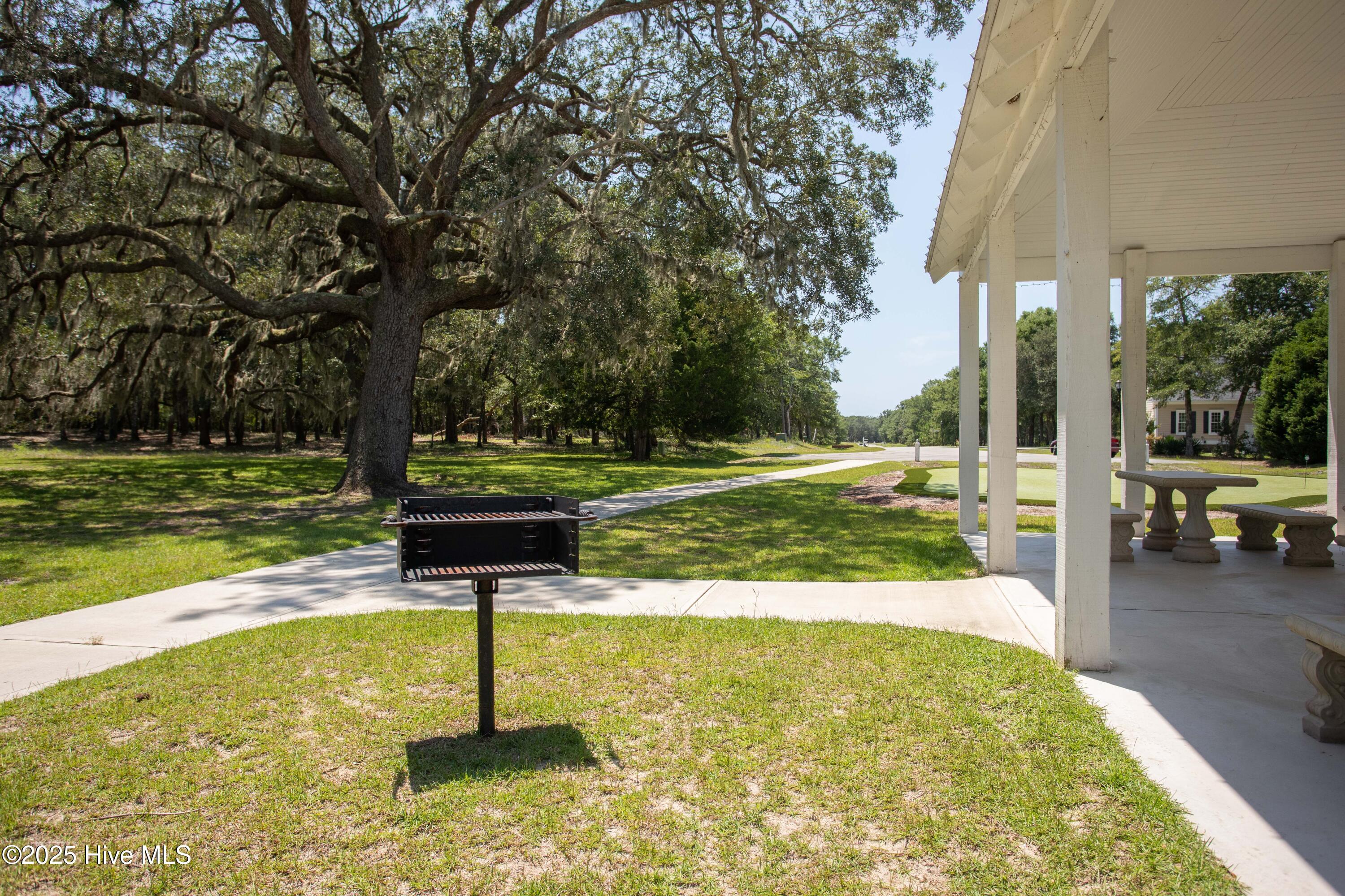 100546445 | Photo 21