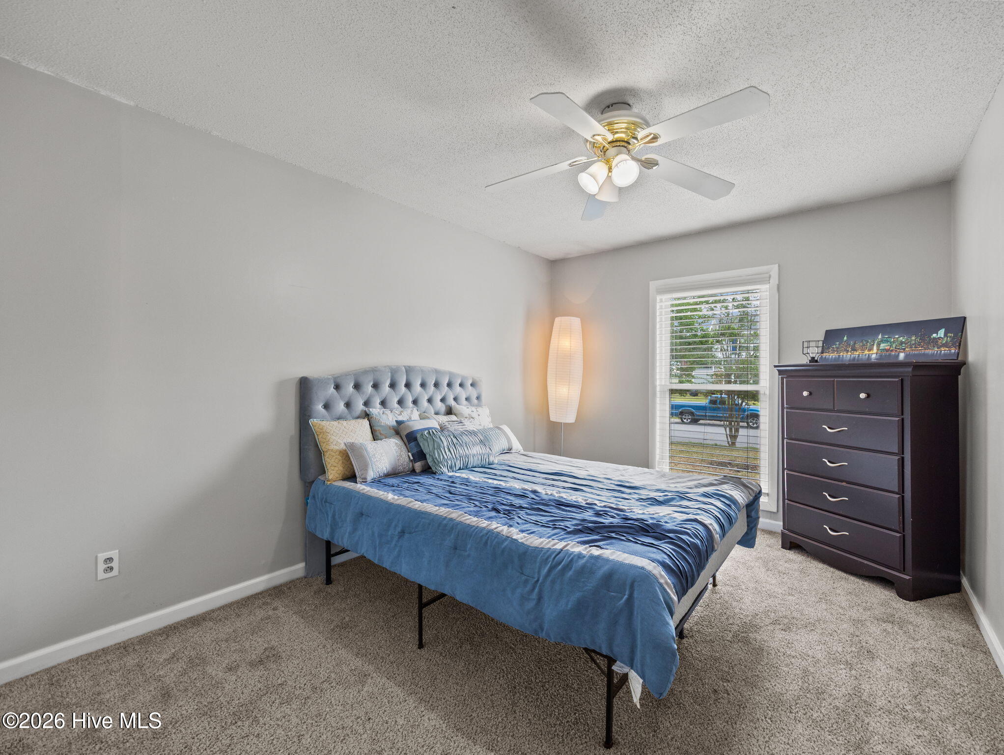 100570195 | Photo 24