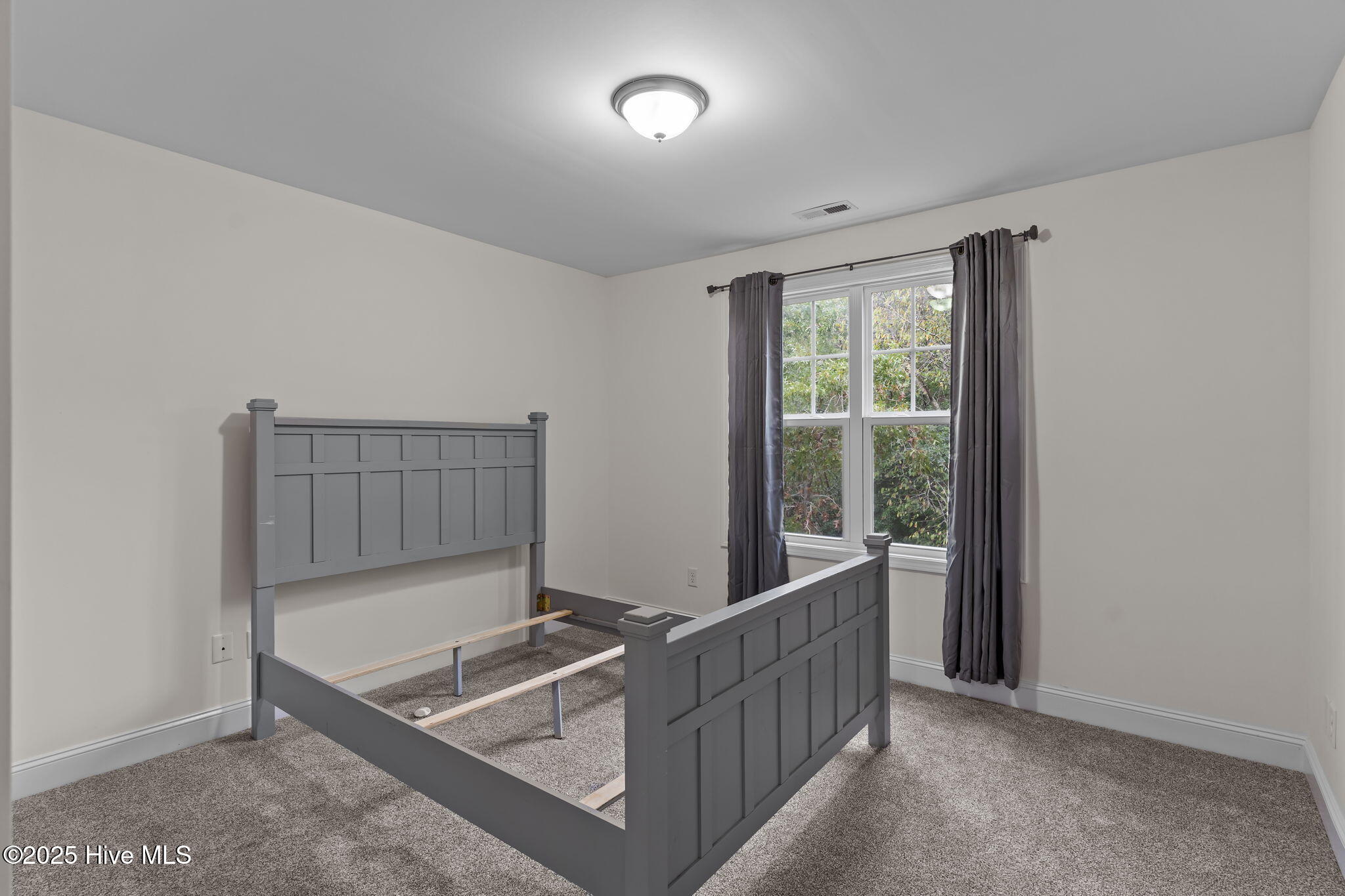 100537079 | Photo 33