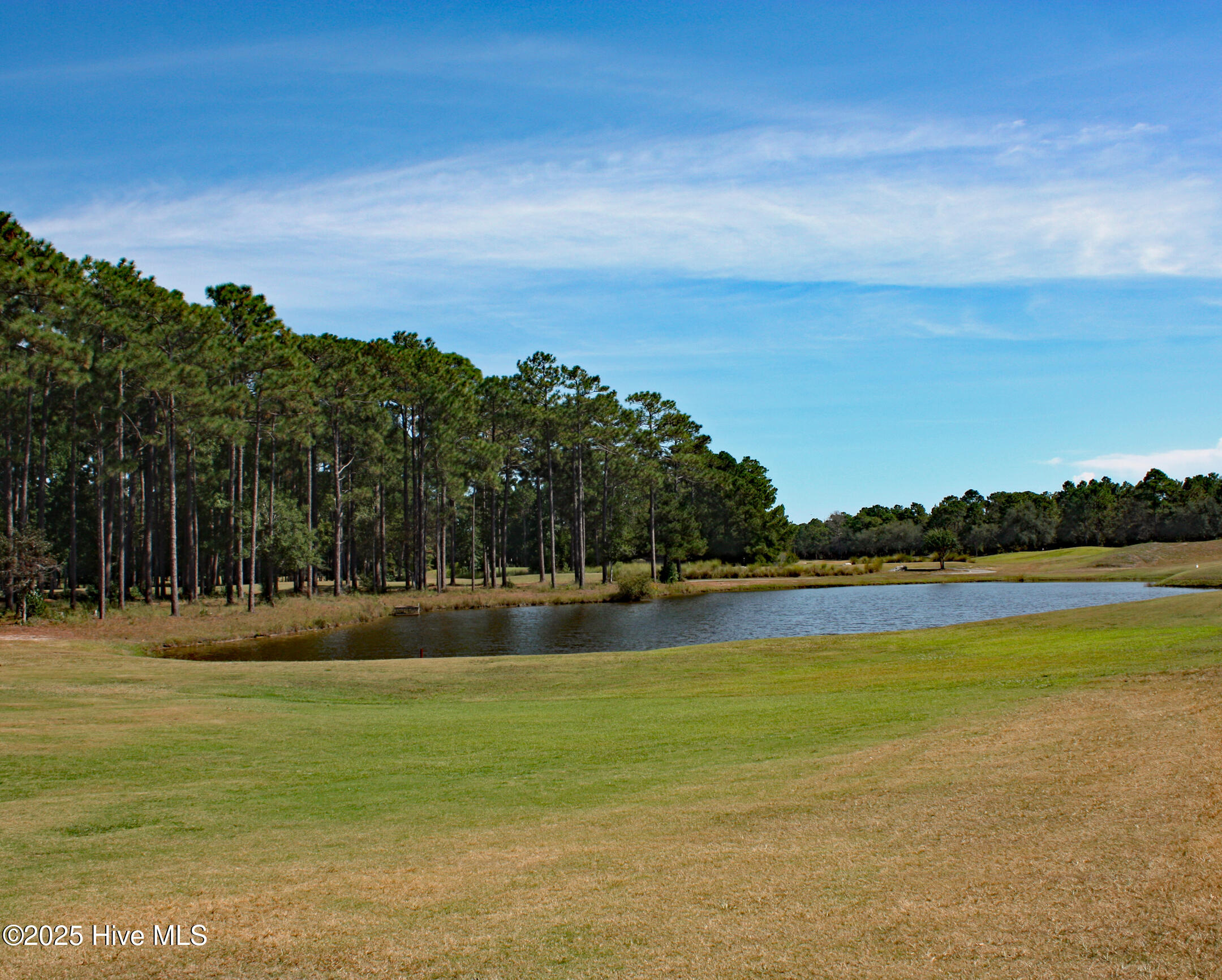 Pond and Golf View