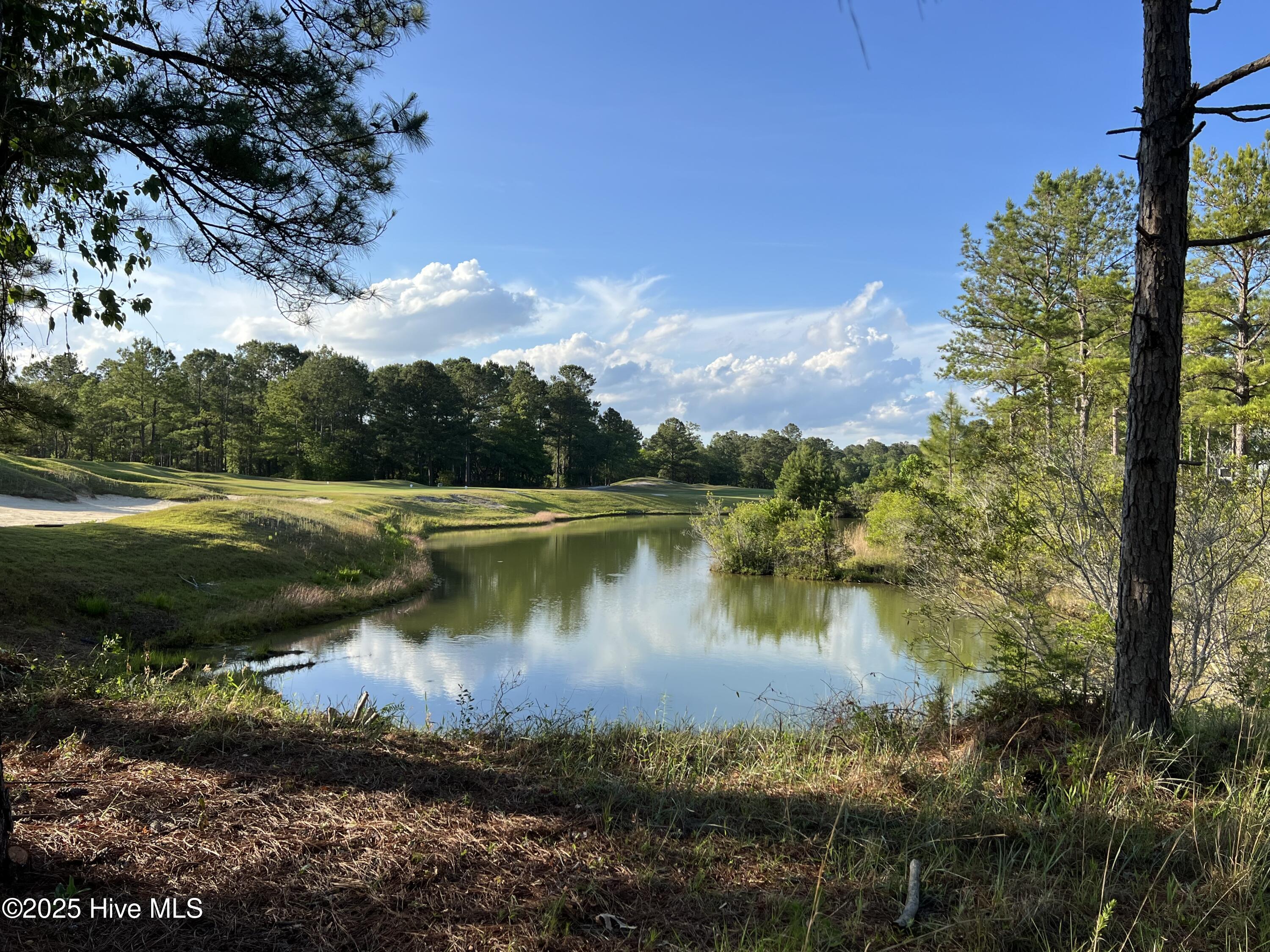 100509687 | Photo 24