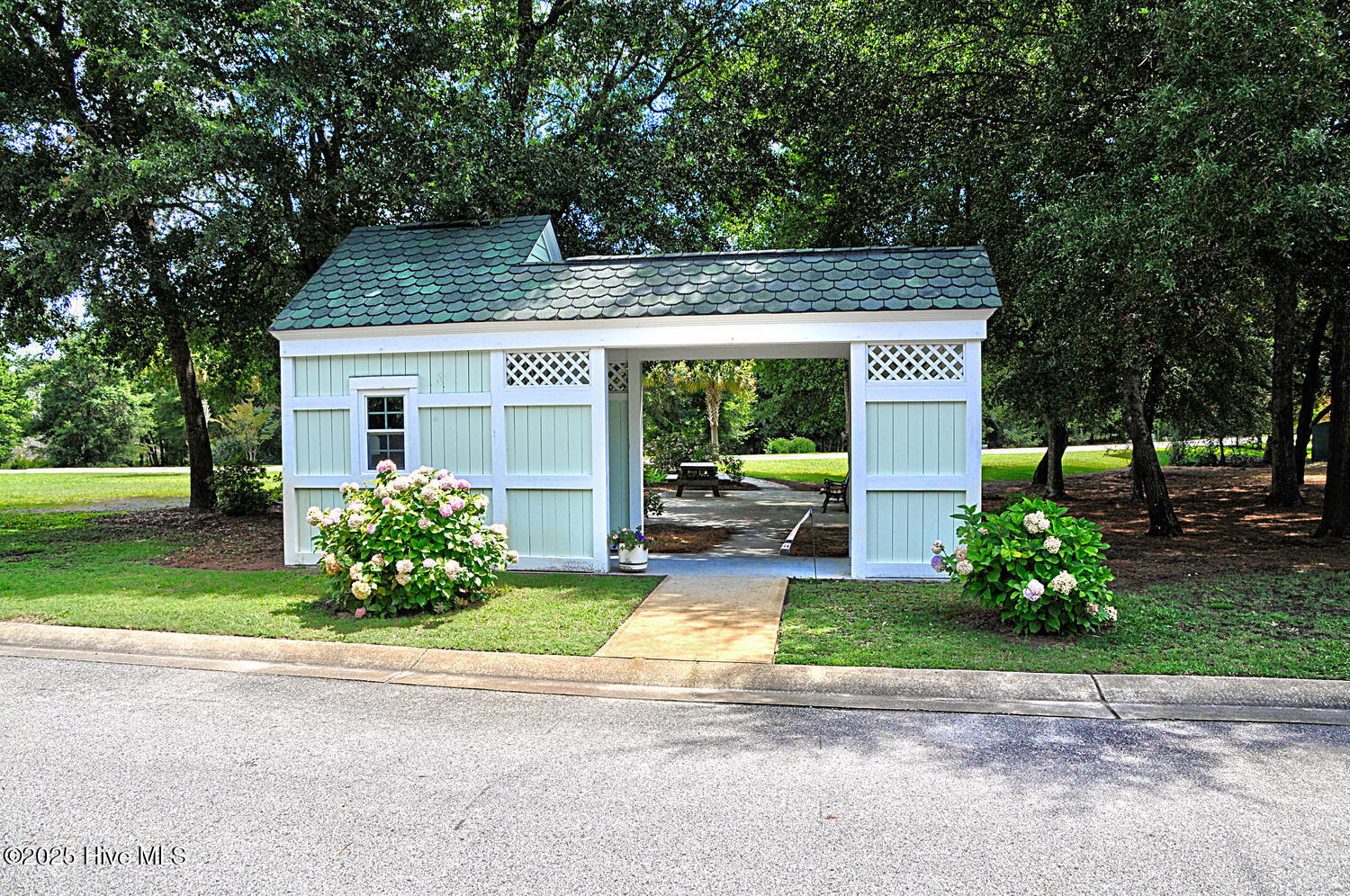 100538166 | Photo 71