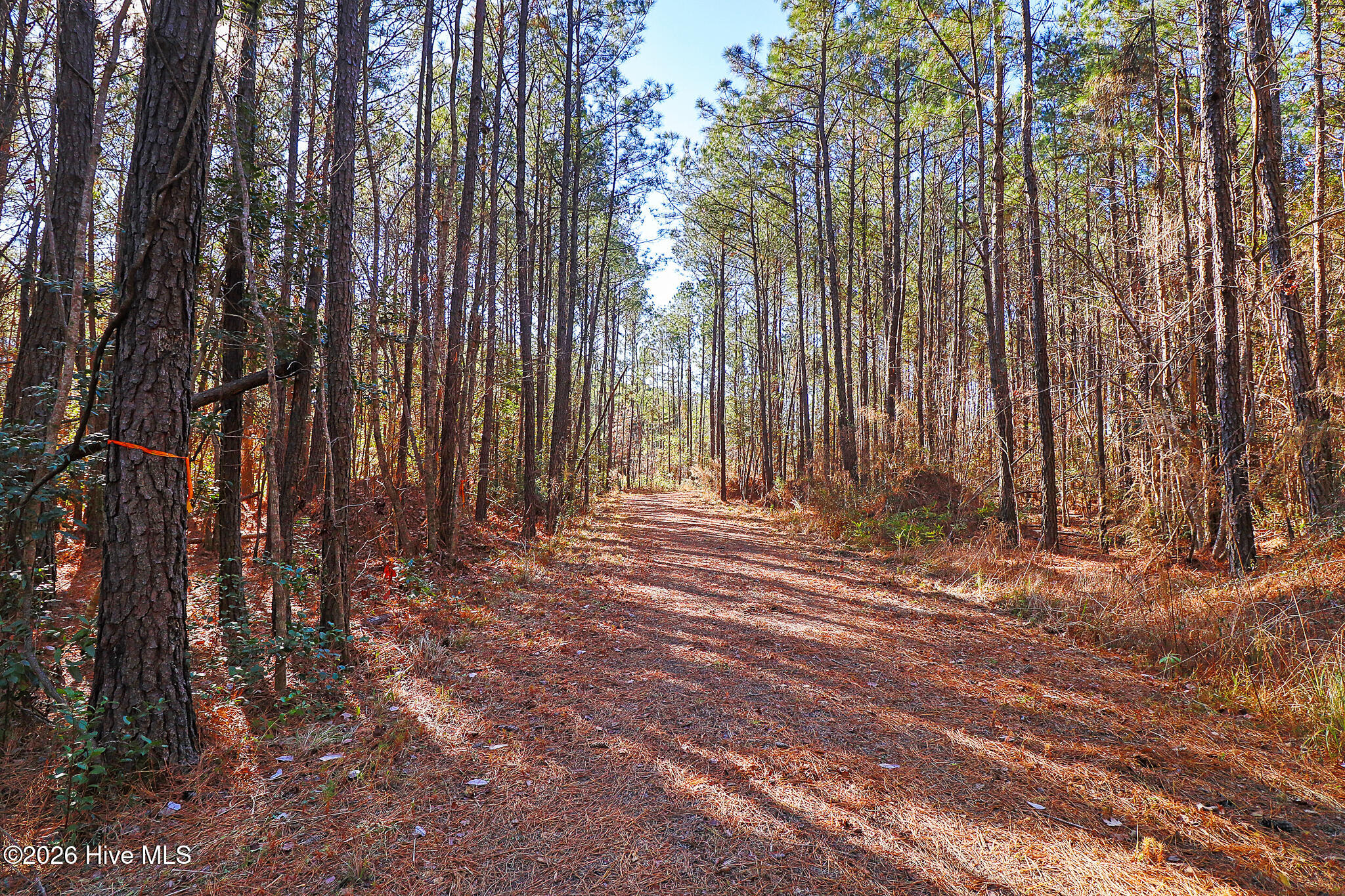 1555 Country Club Road,Morehead City
