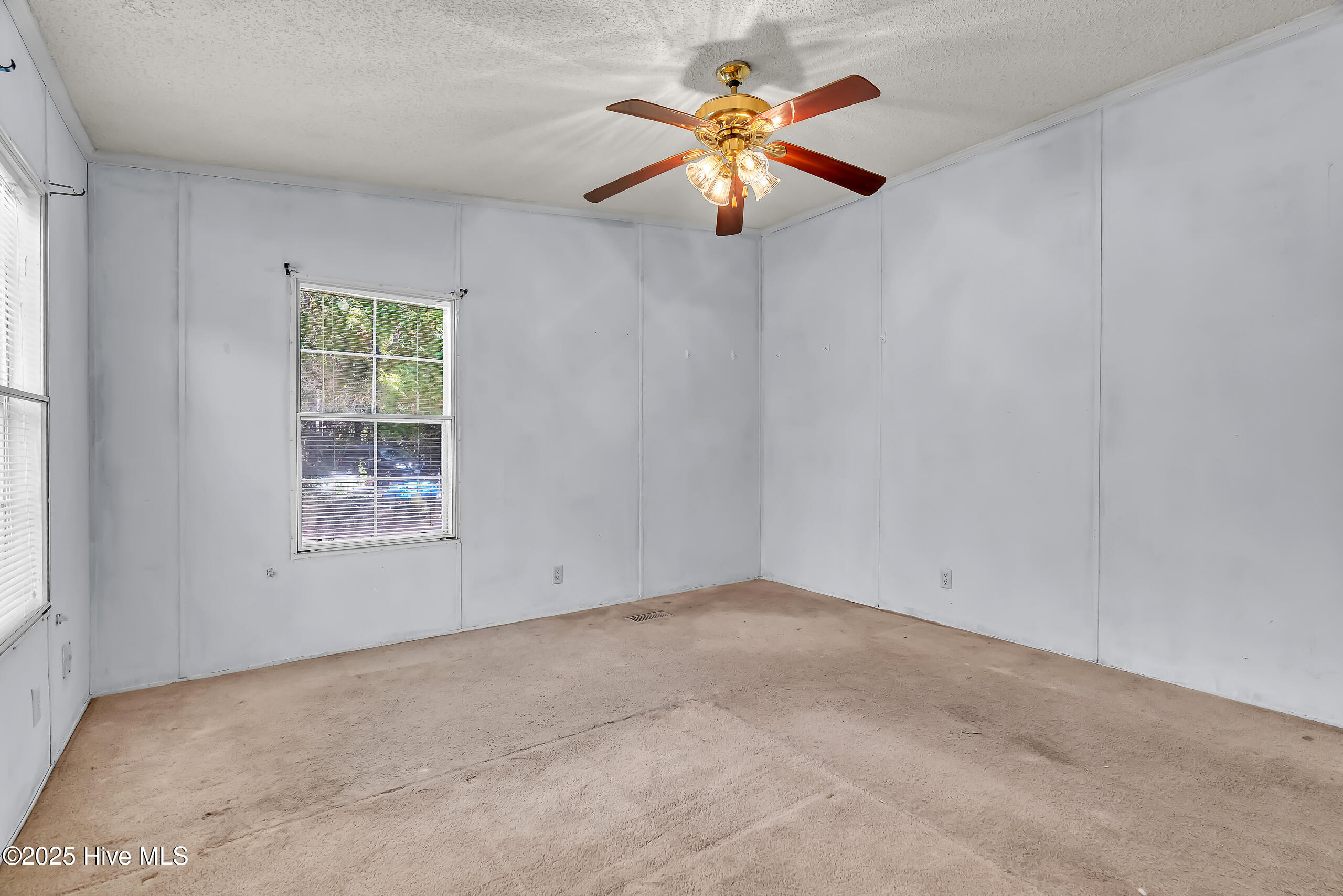 100538064 | Photo 21