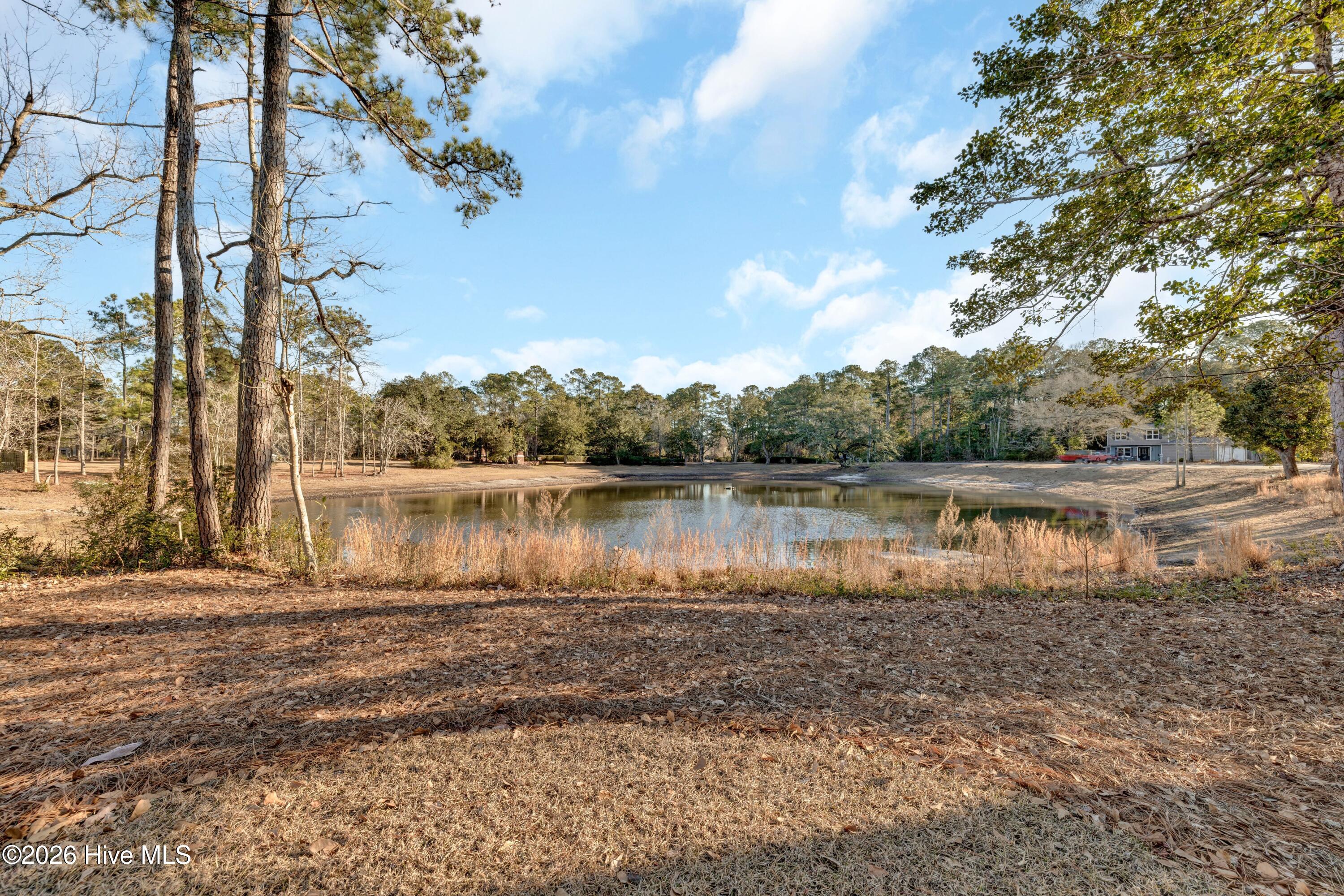 100551987 | Photo 41