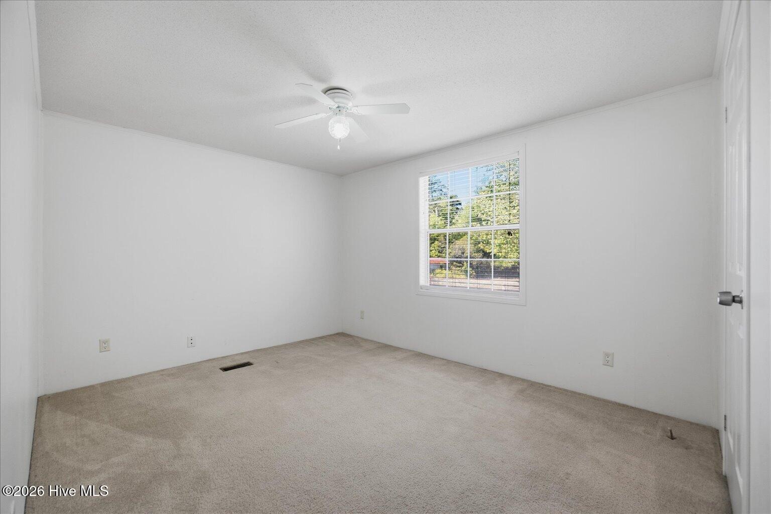 100569613 | Photo 20