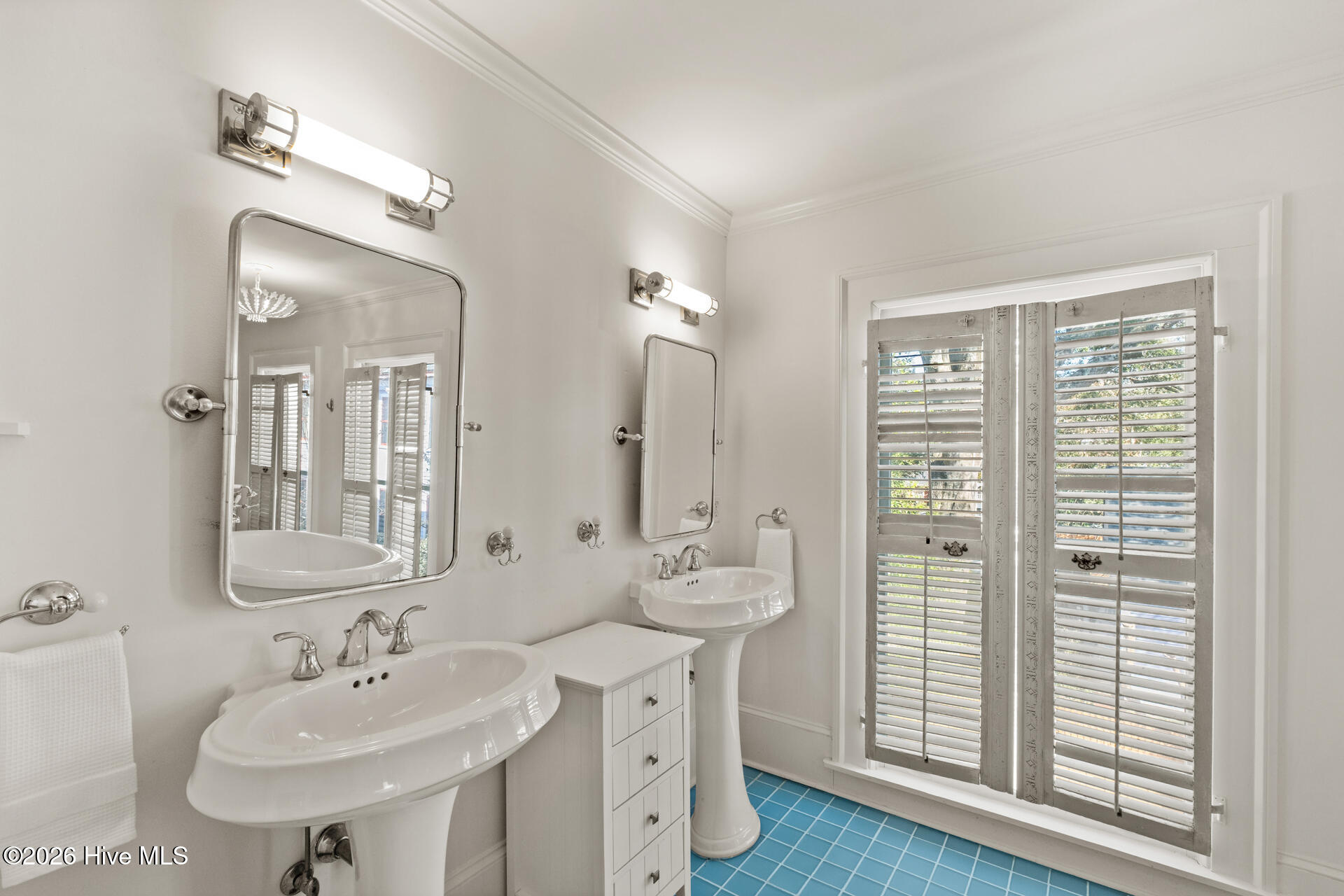 100556093 | Photo 33