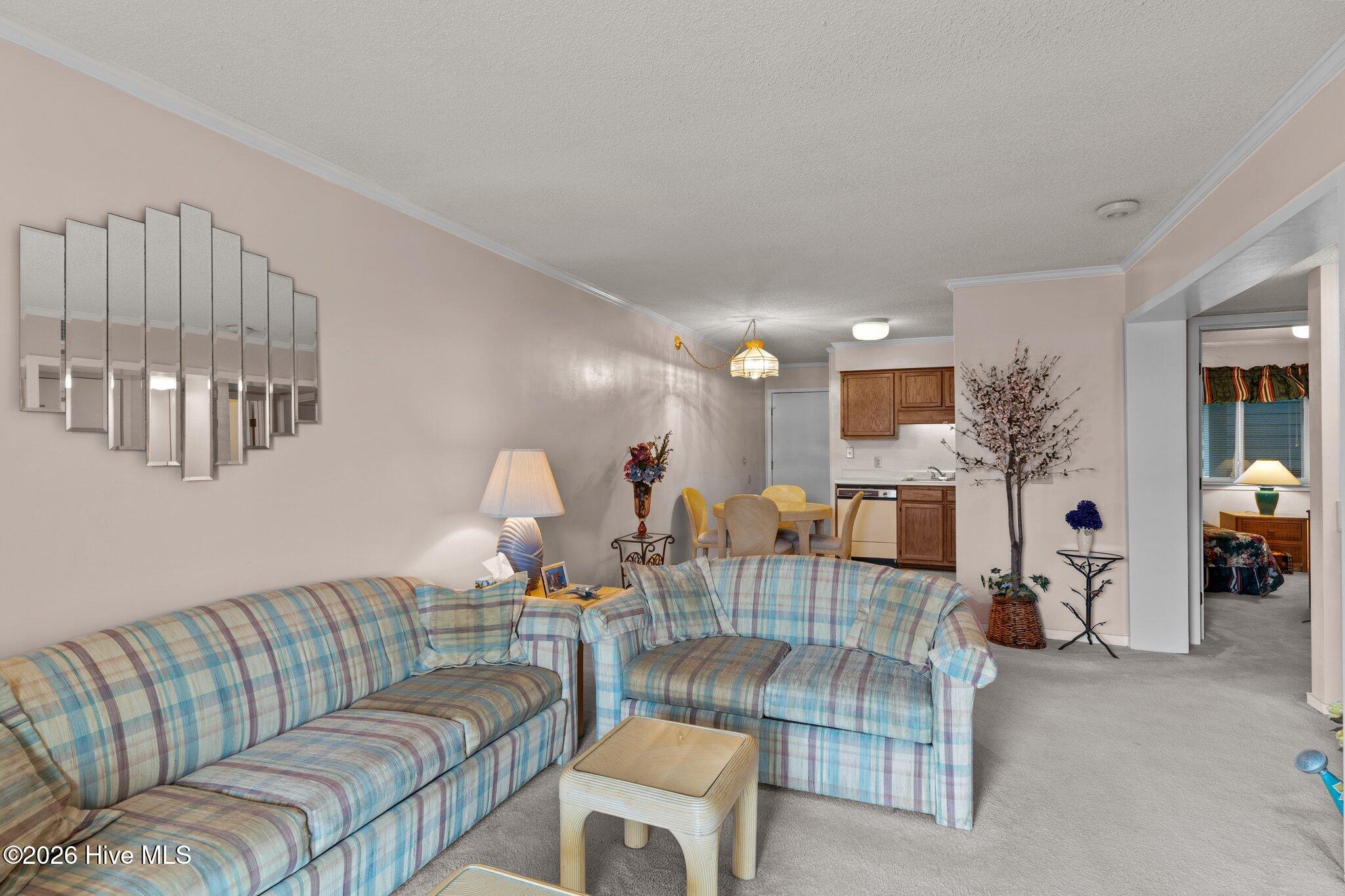 100552917 | Photo 12