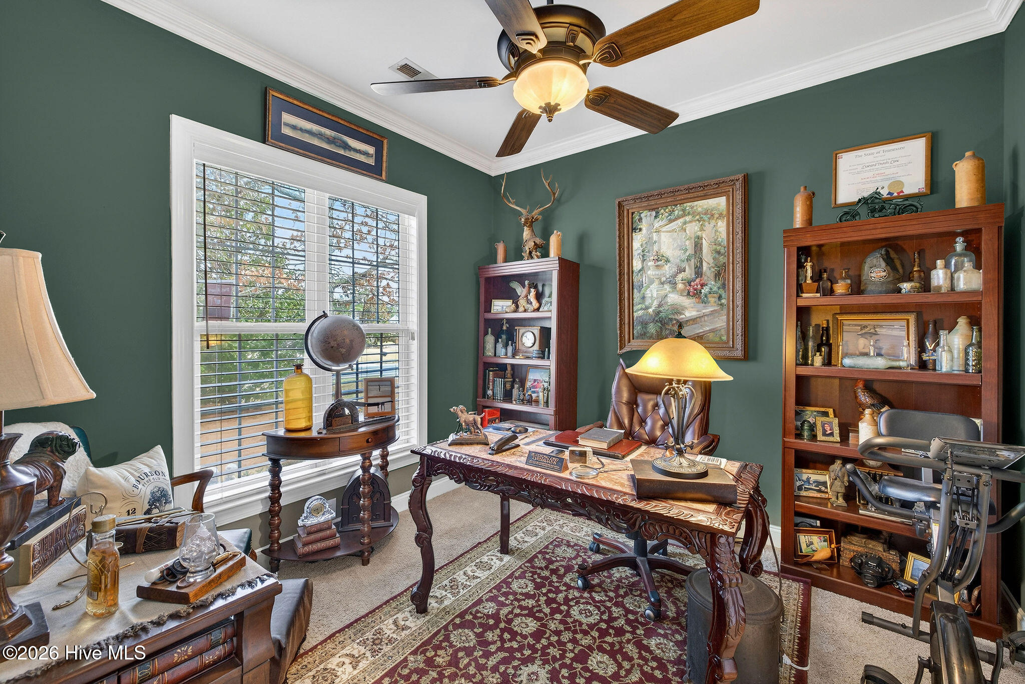 100558563 | Photo 35