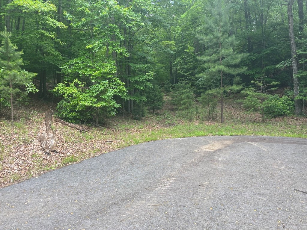 Exterior photo of Lot 64 Cirrus Drive, Murphy, NC 28906. MLS: 98524768
