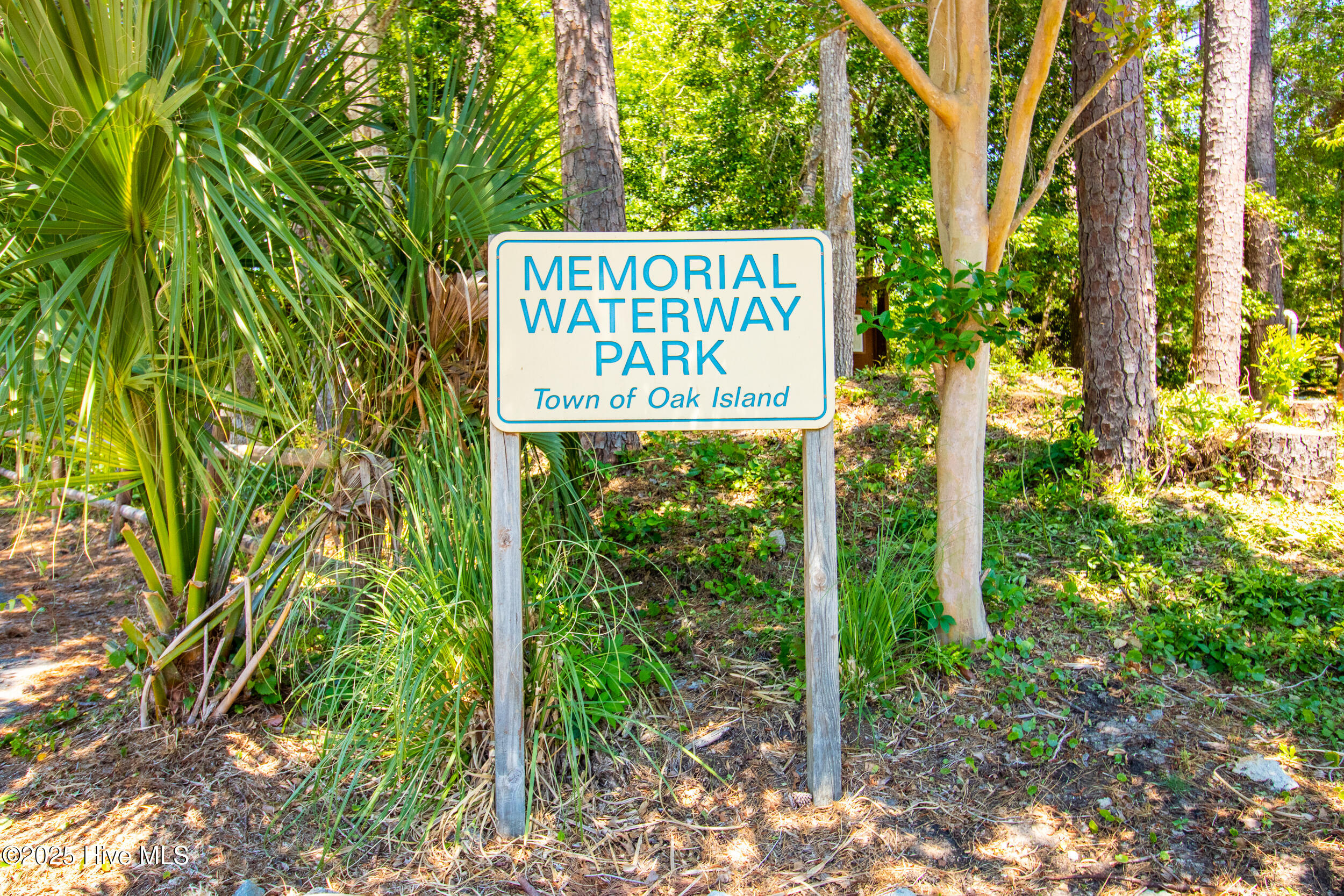 100550005 | Photo 60