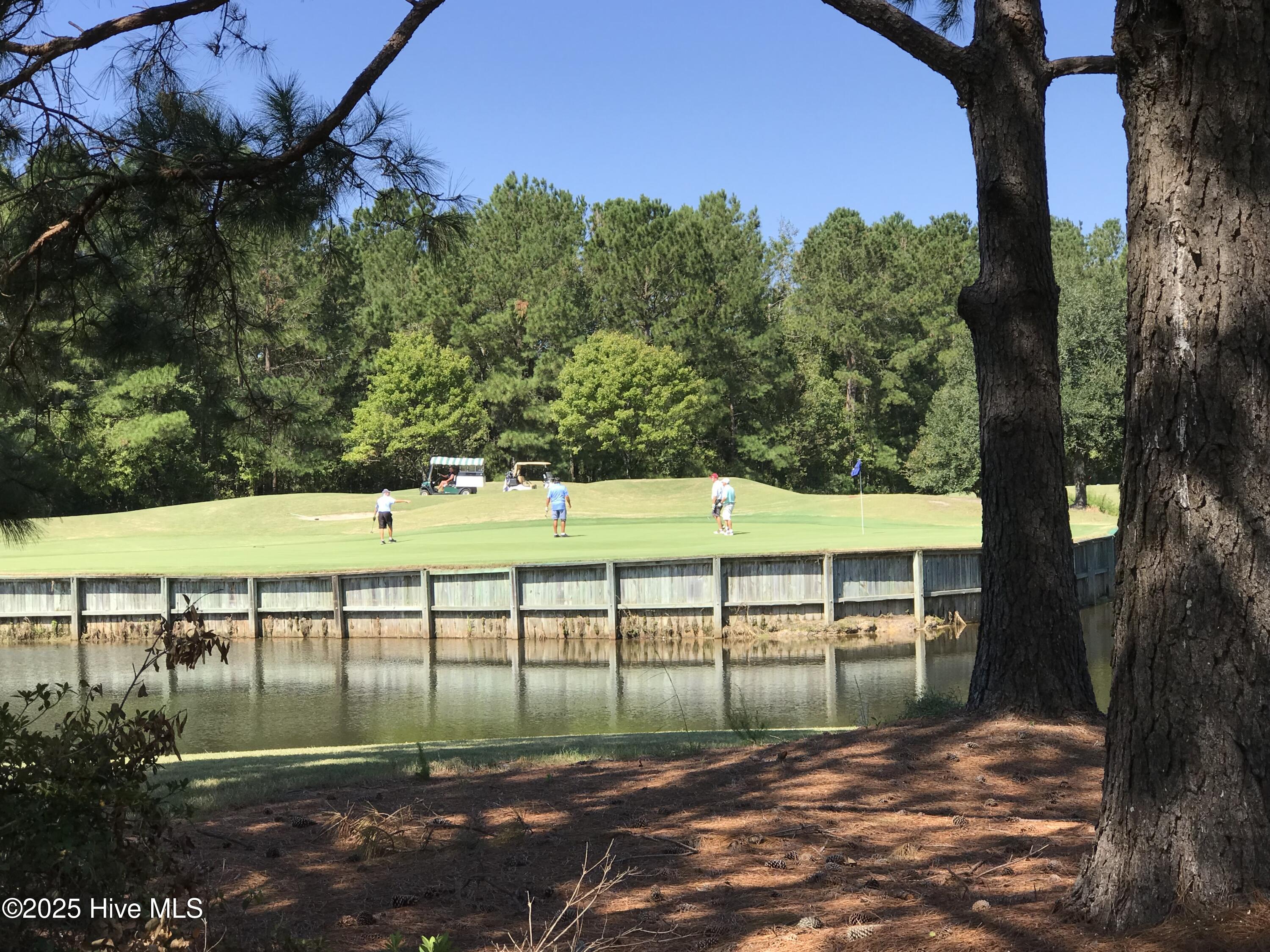 100527914 | Photo 46