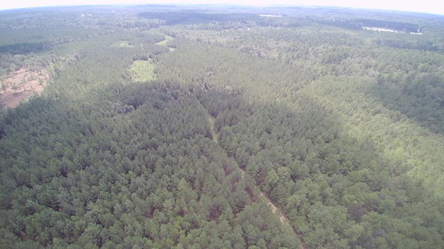 00 Augusta Highway, Dearing, GA 30808 Listing Photo  4
