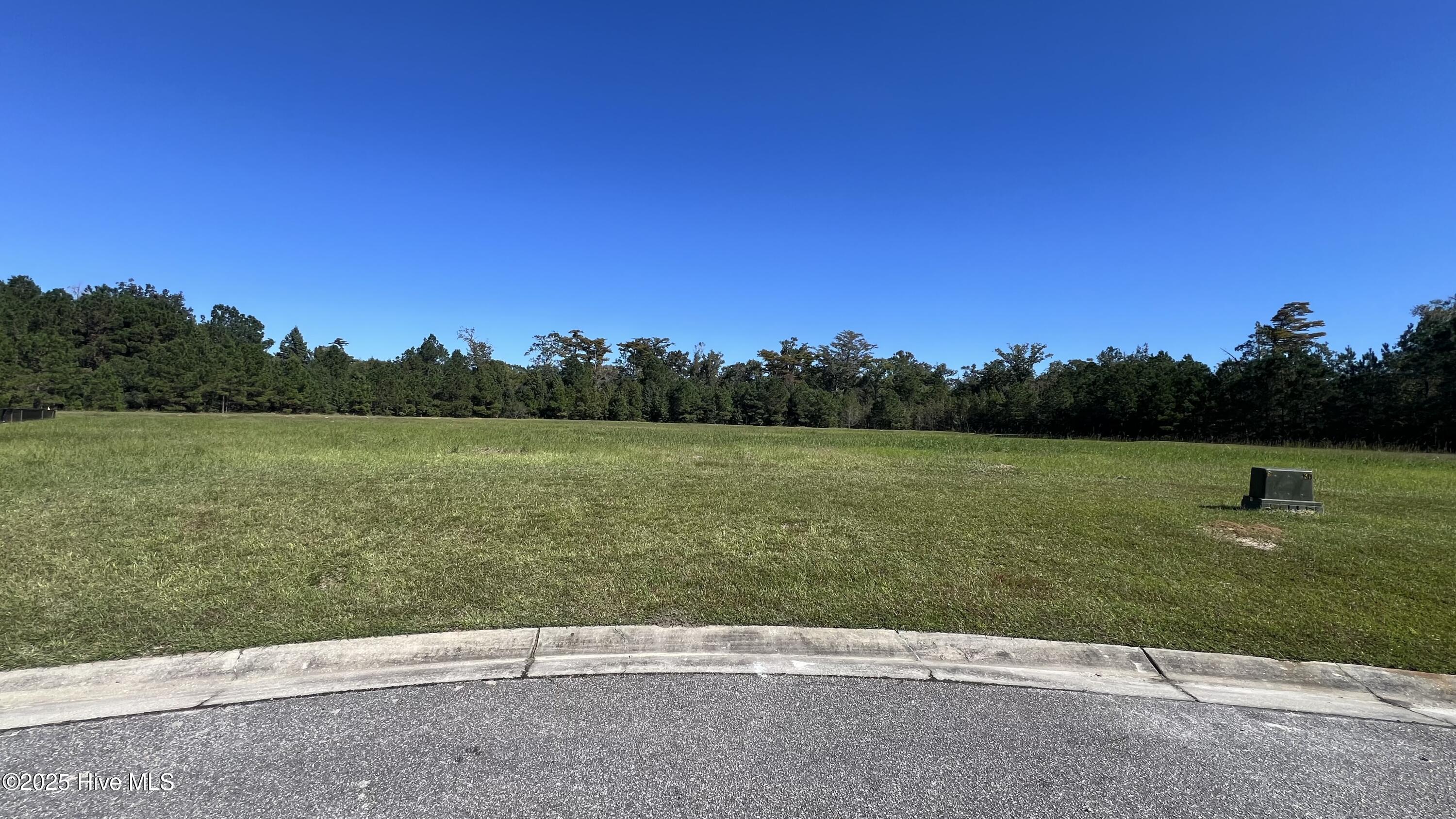 100538971 | Photo 14