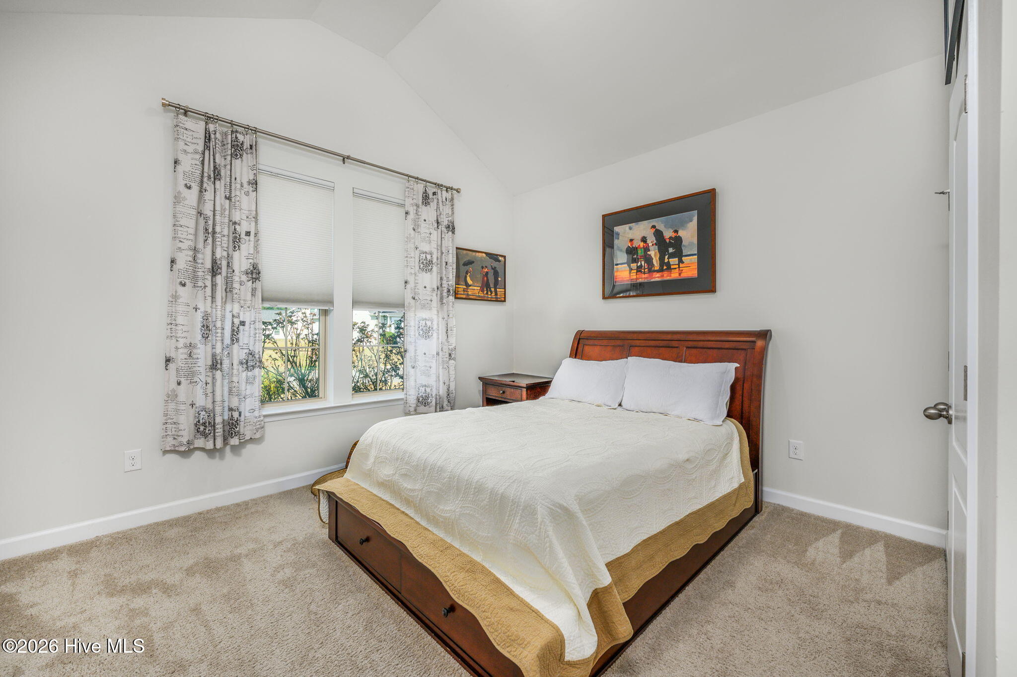 100559245 | Photo 15