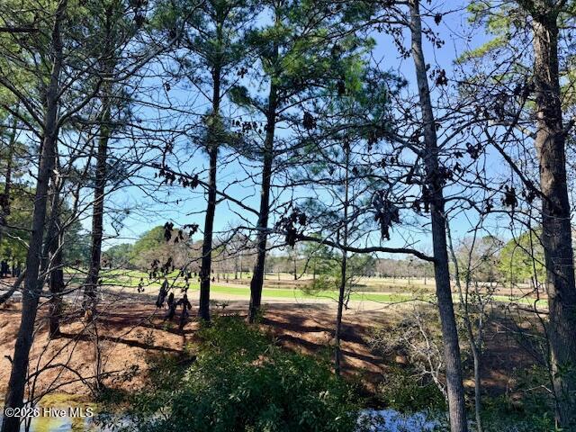 100555932 | Photo 39