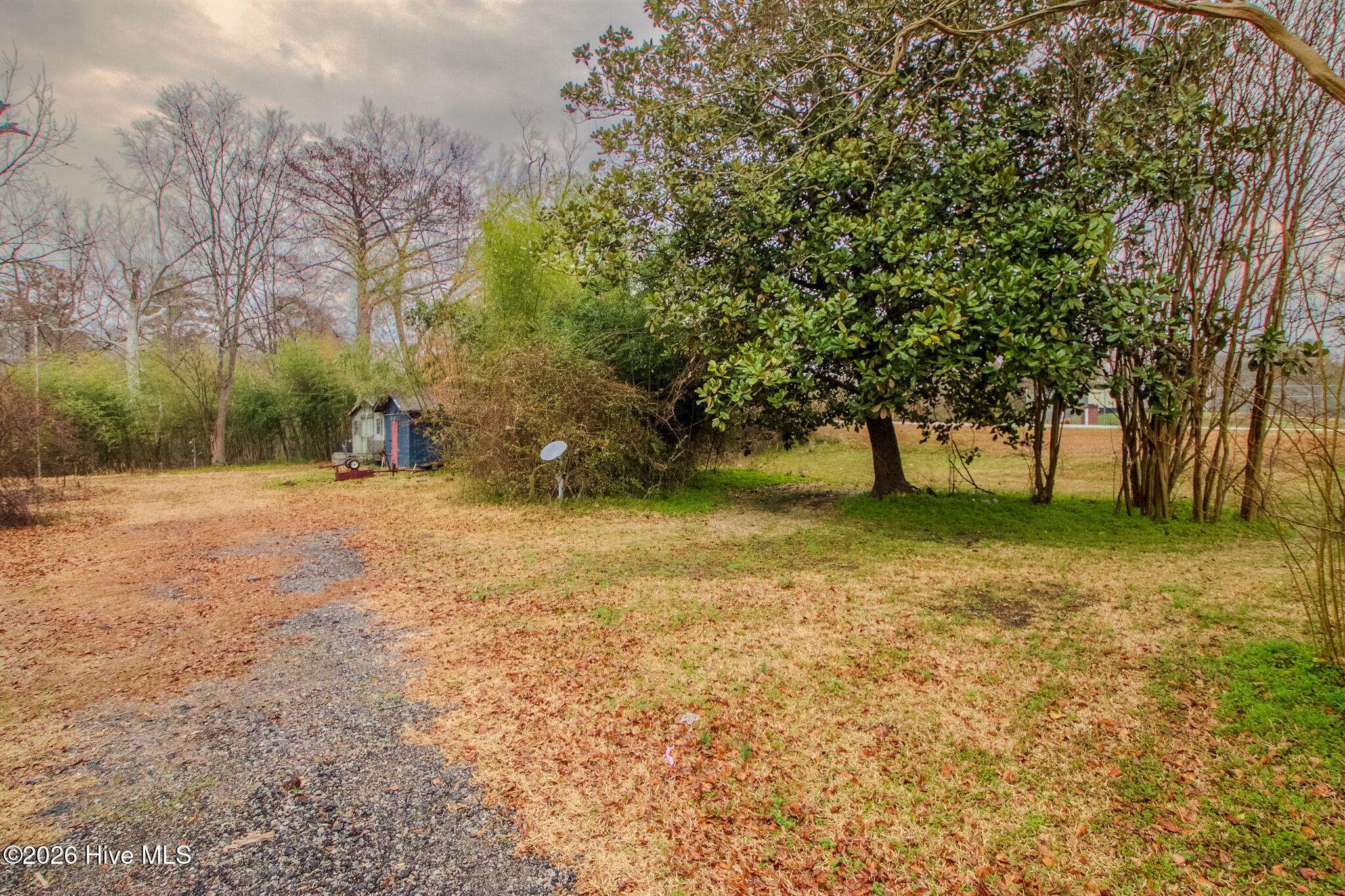 Lot 4 Trent, Trenton, North Carolina, 0 ,Residential land,For sale,Trent,100557308 Lot 4 Trent, Trenton, North Carolina, 0 ,Residential land,For sale,Trent,100557308