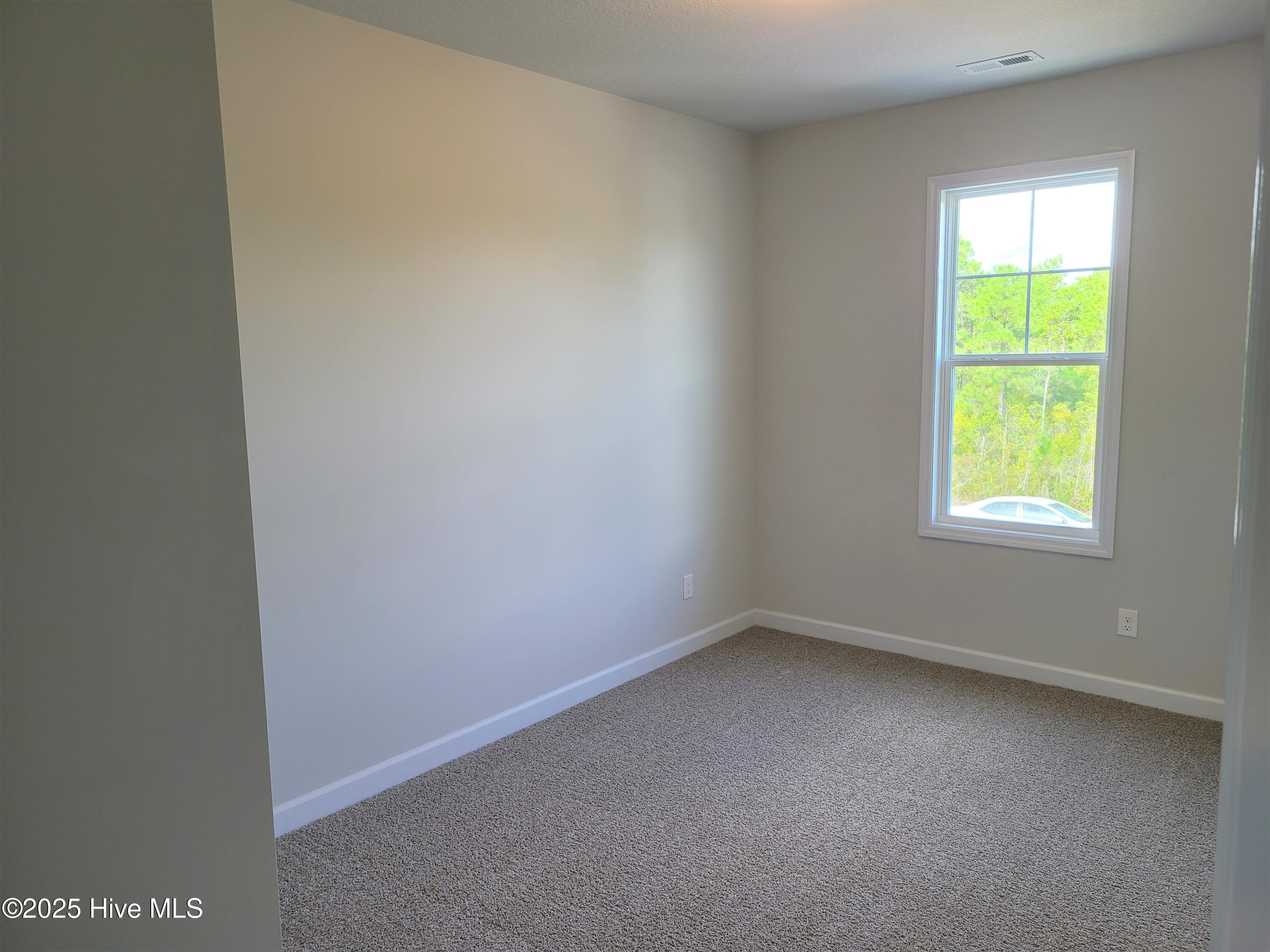 100537237 | Photo 17