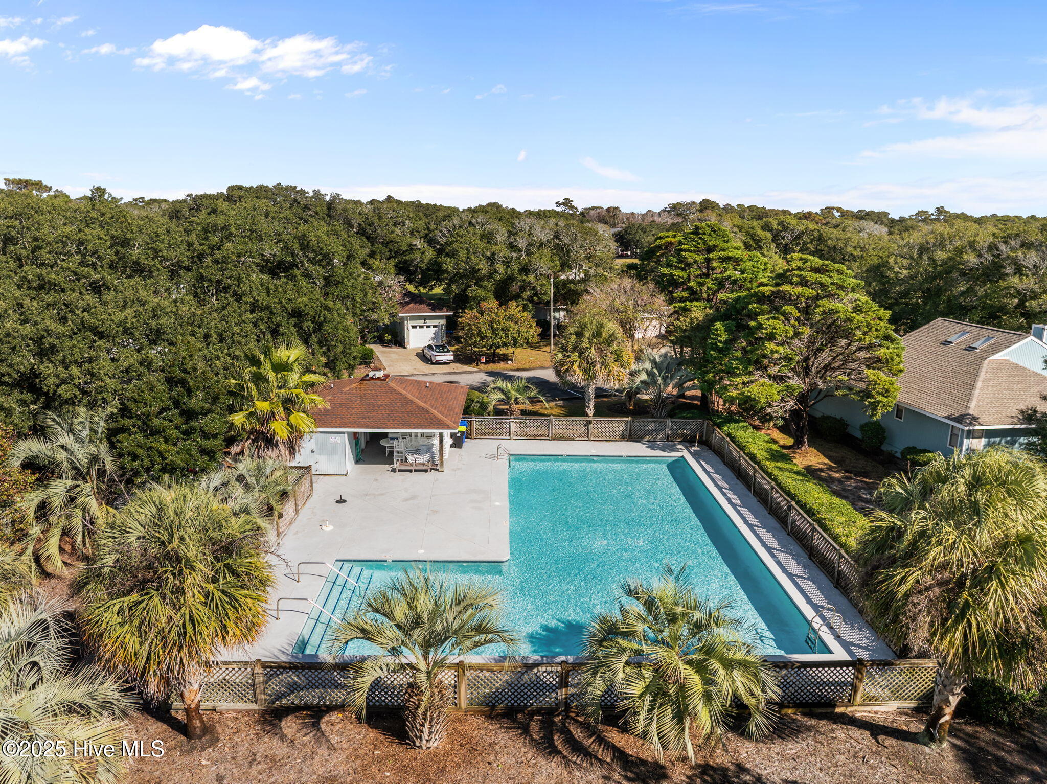 100539622 | Photo 50