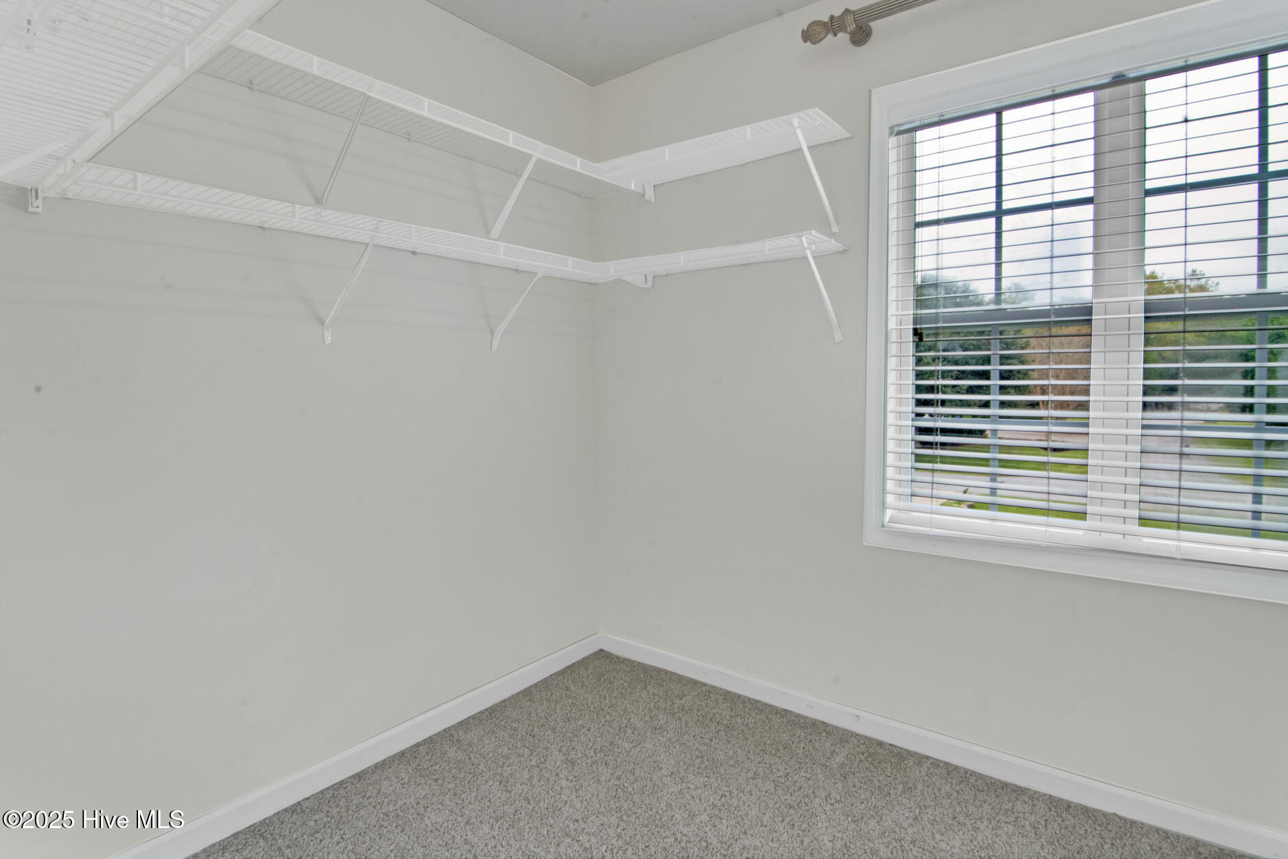 100536768 | Photo 22