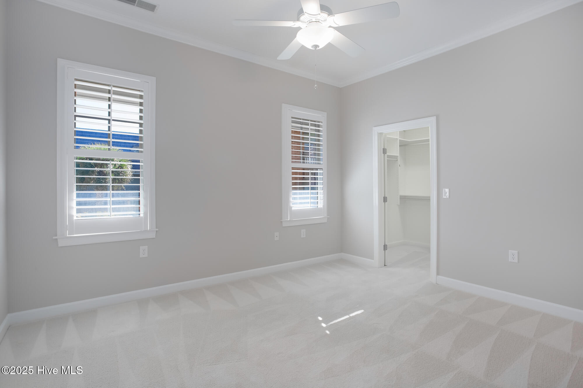 100510671 | Photo 19