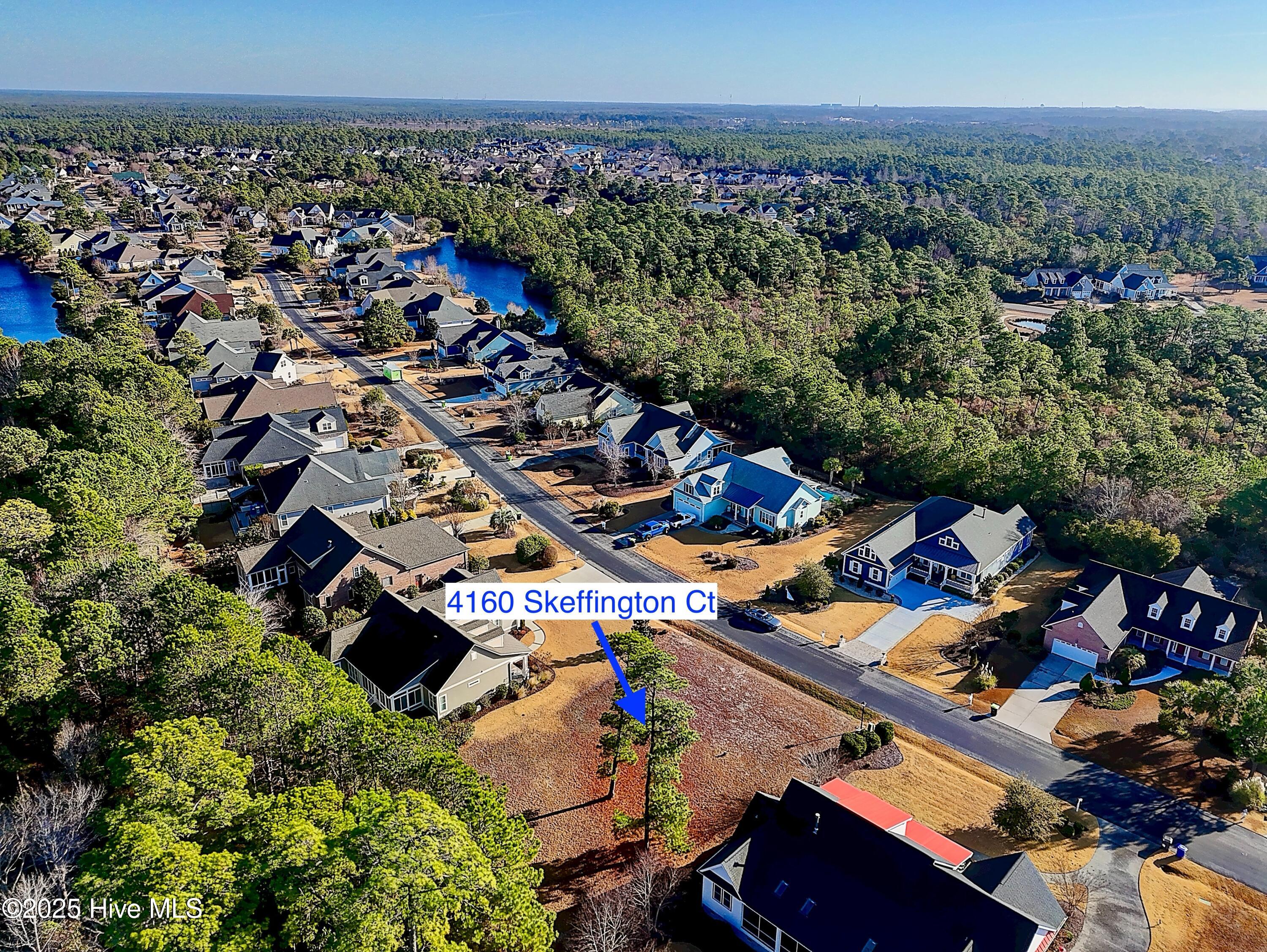 100546693 | Photo 11